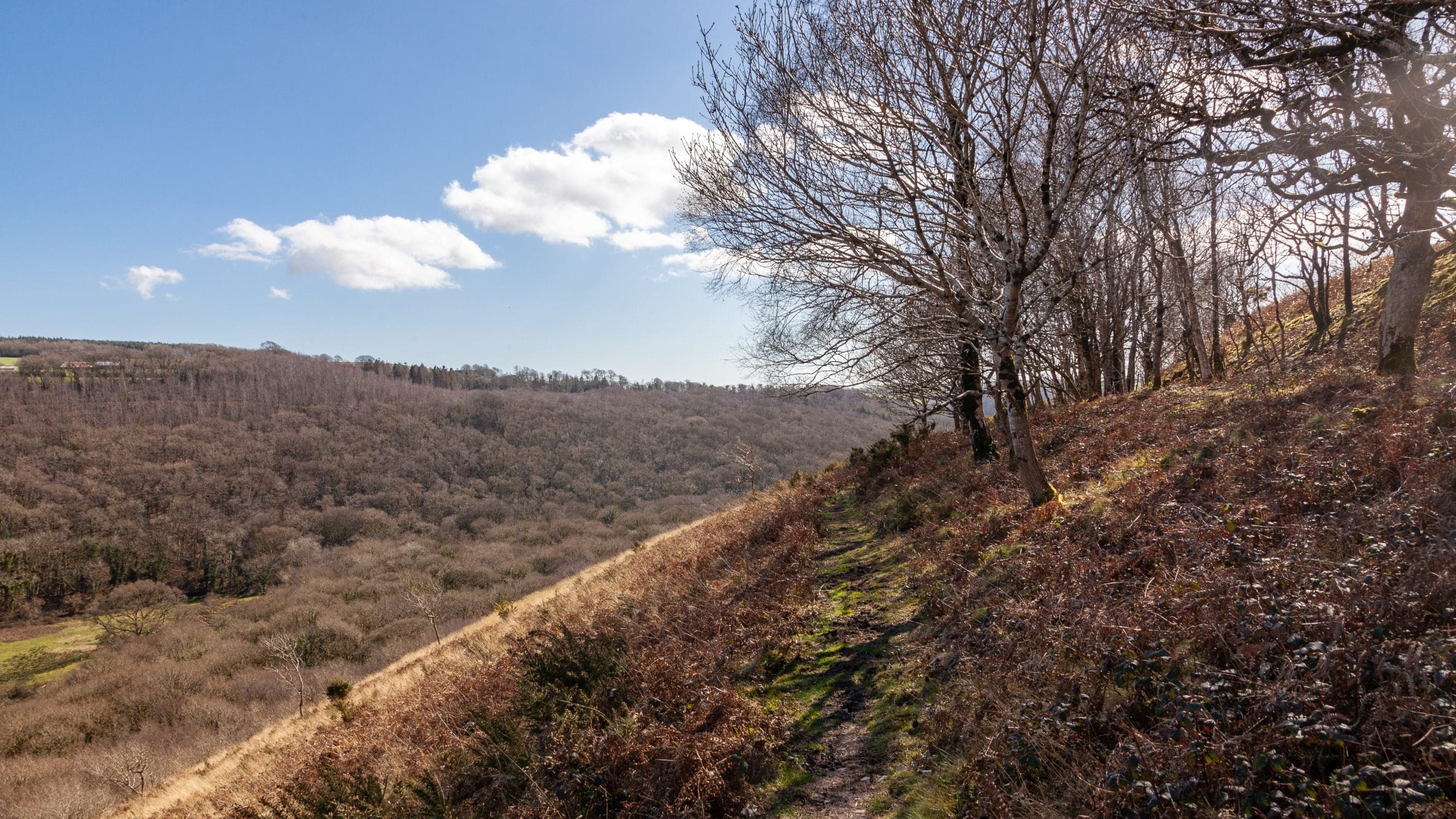 Cadsonbury