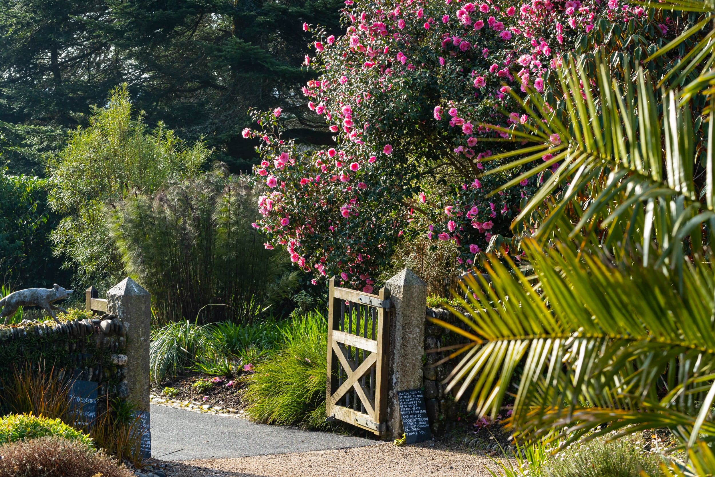 Glendurgan Garden