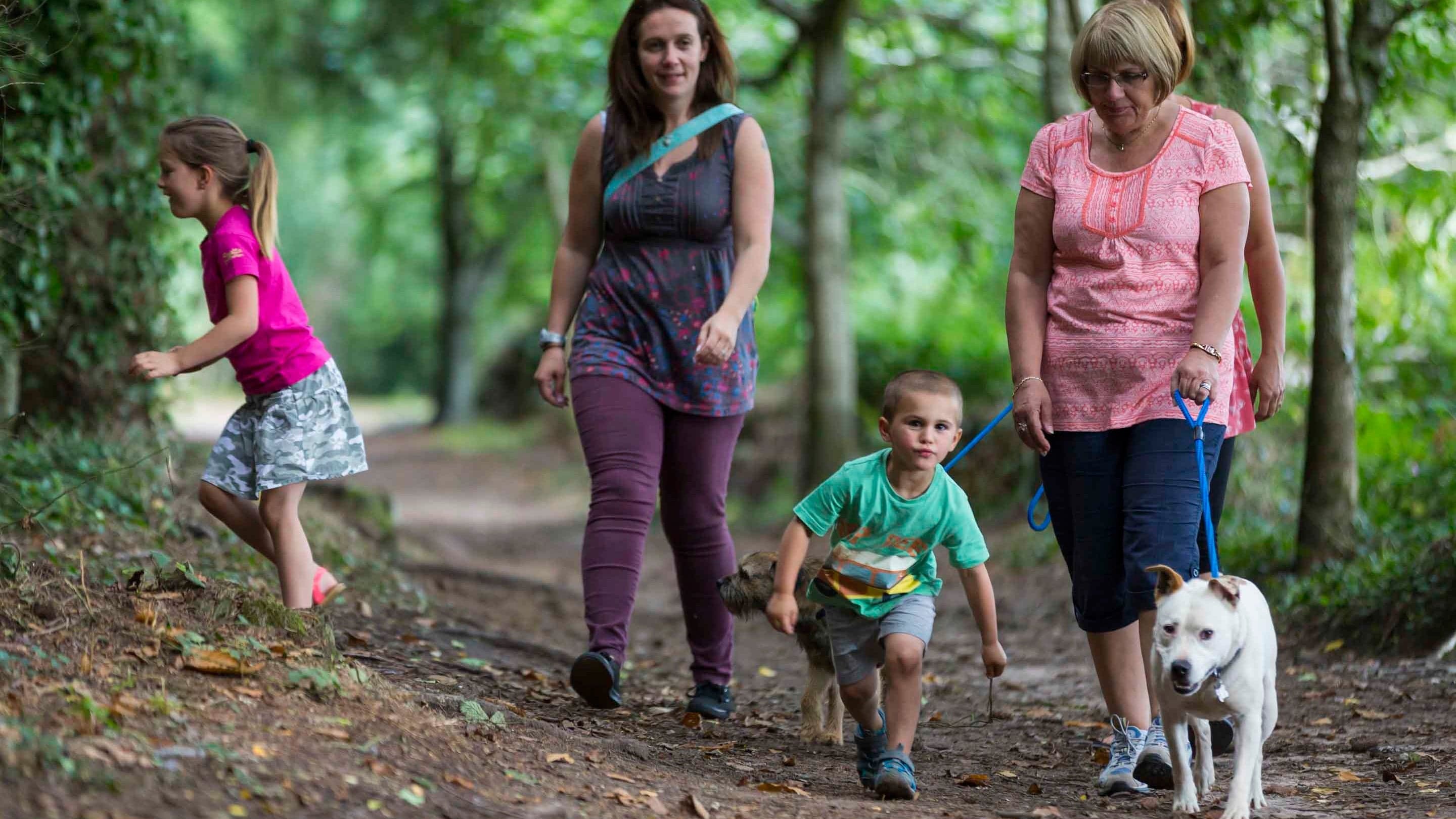 Ashclyst Forest