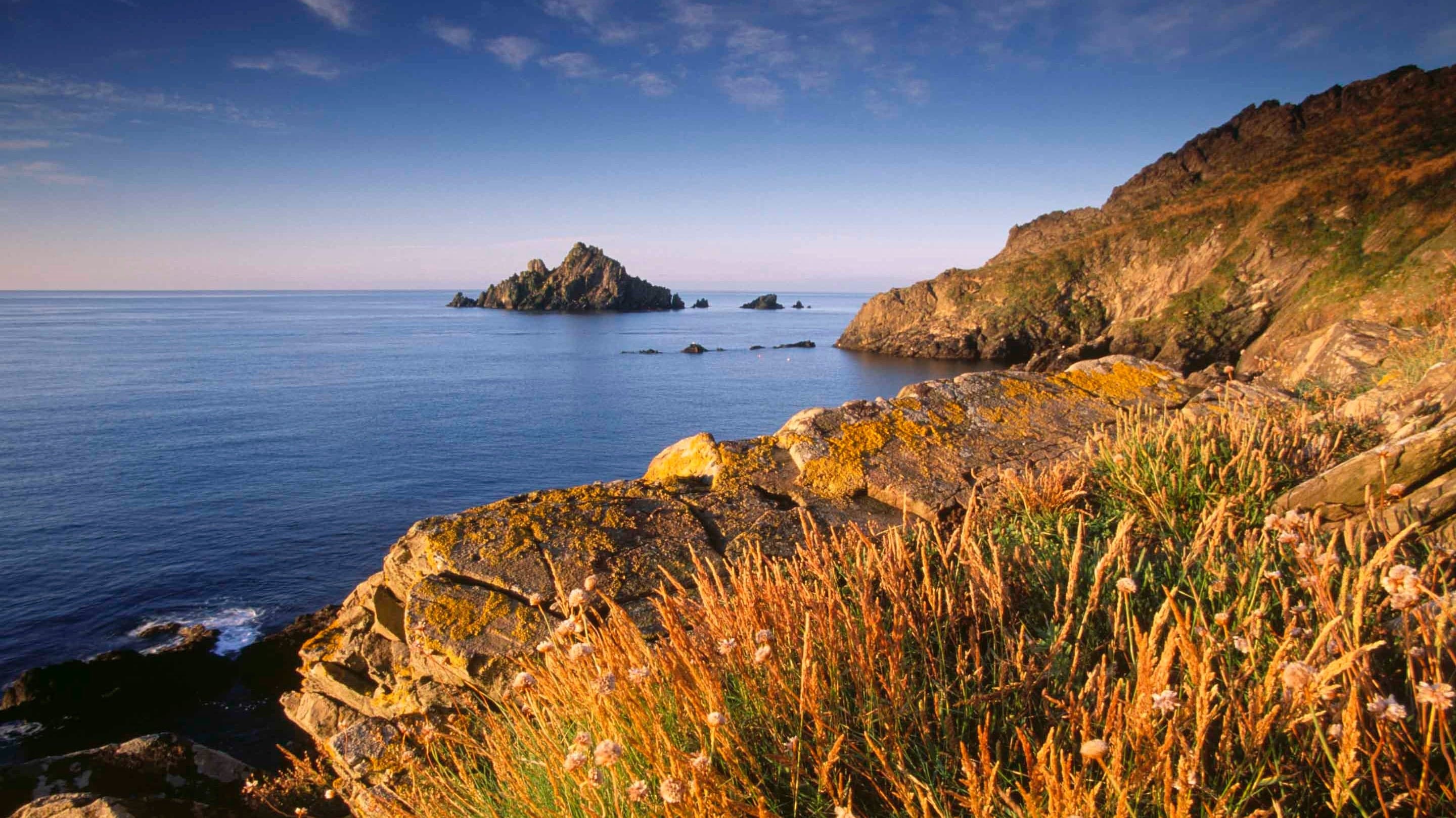 Brownstone and Coleton Camp