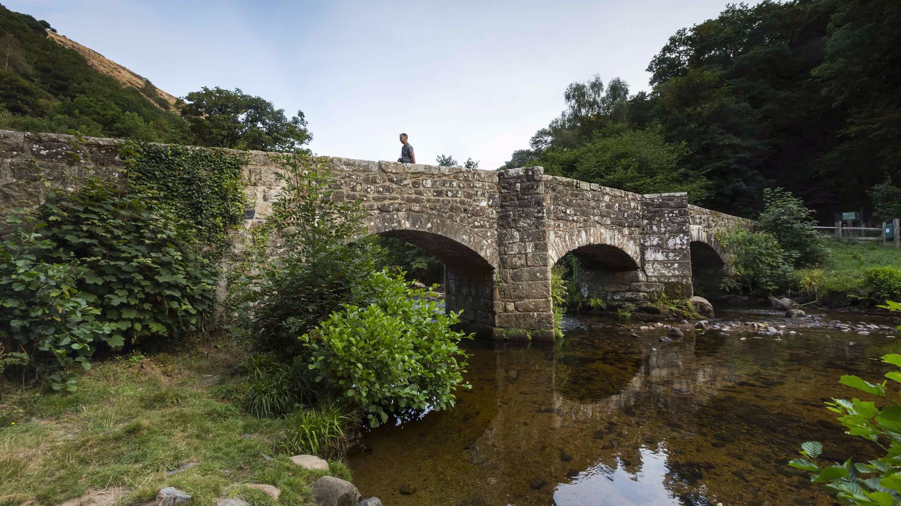 Fingle Bridge