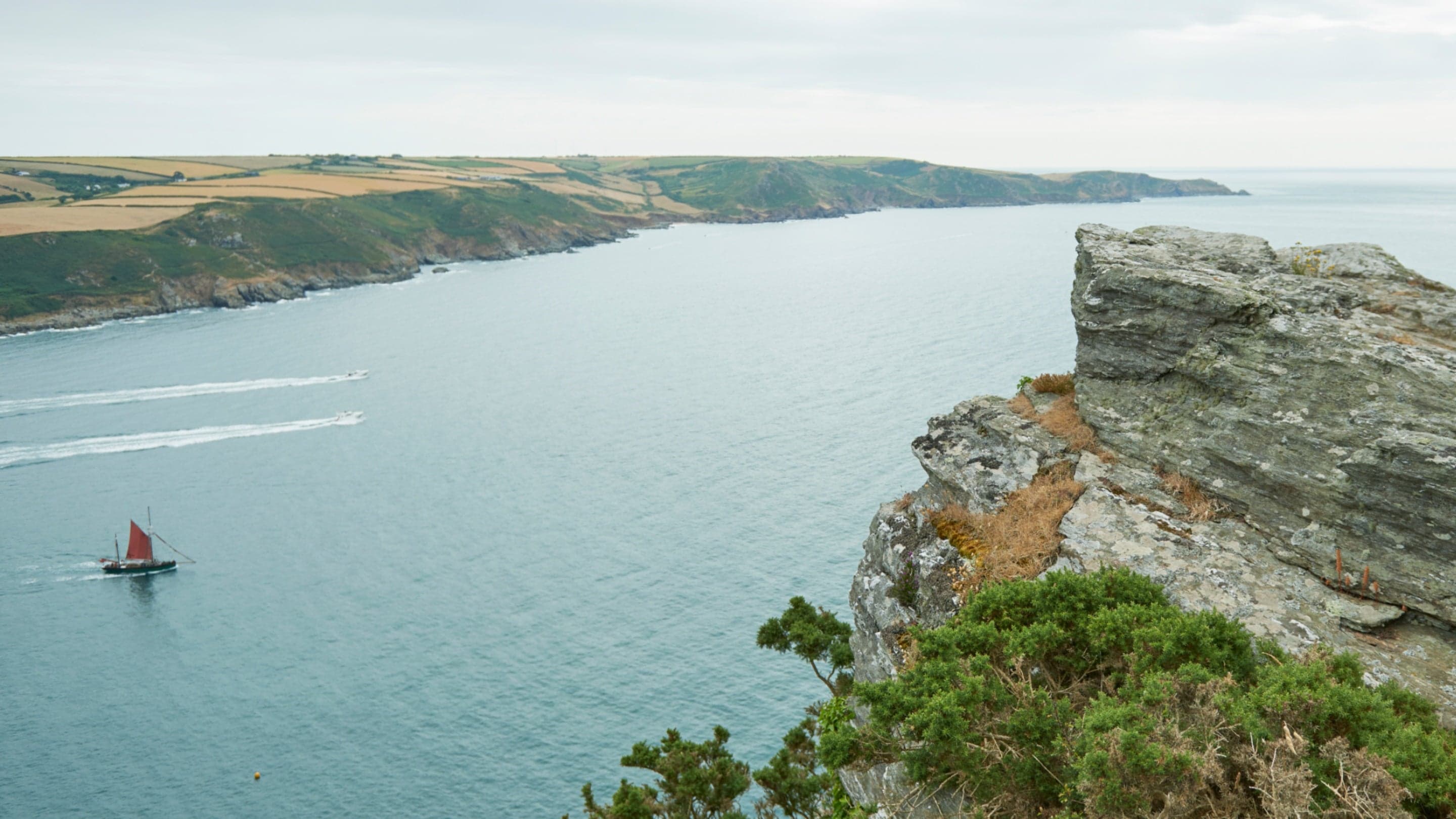 Salcombe Countryside