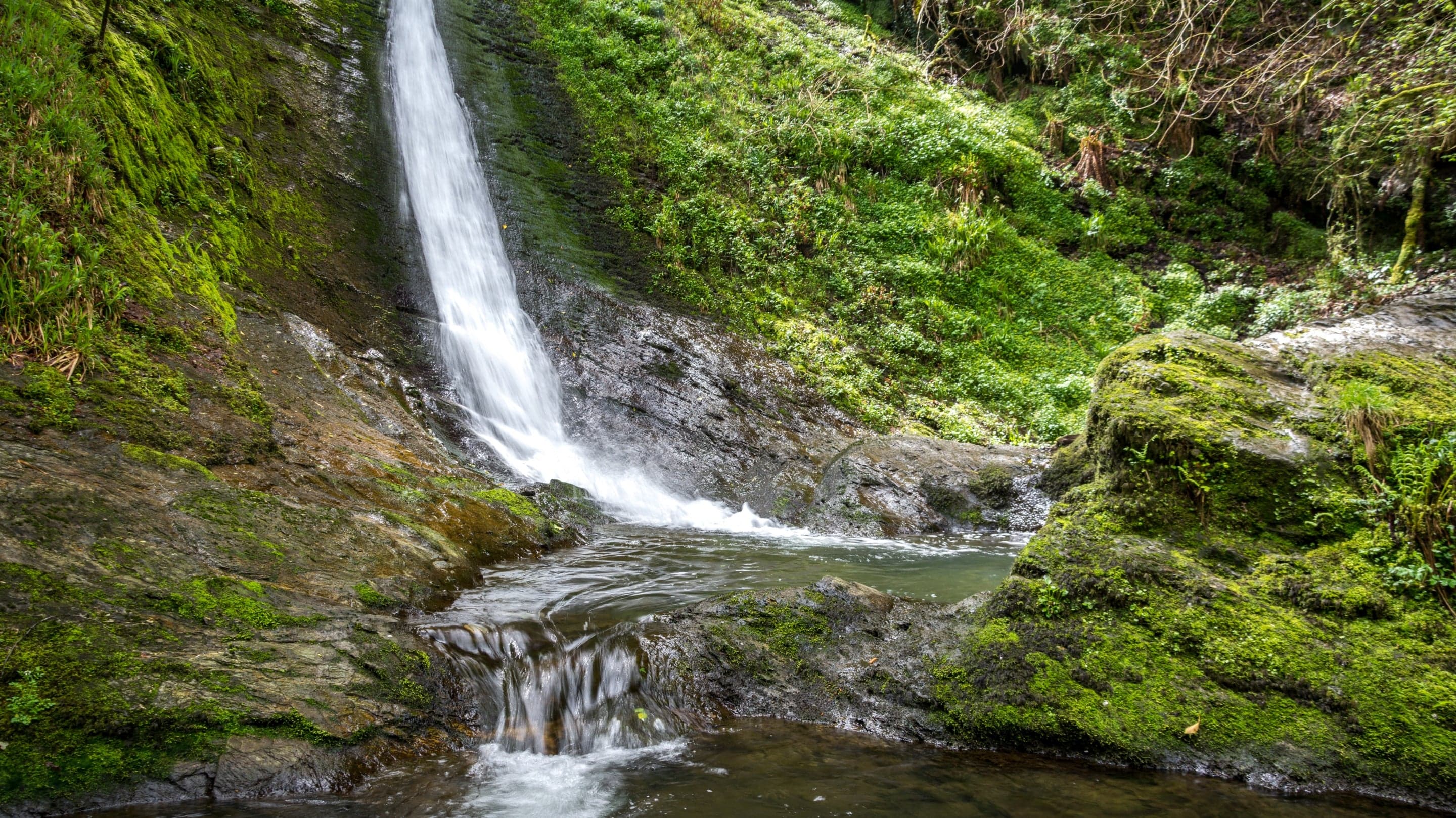 Lydford Gorge
