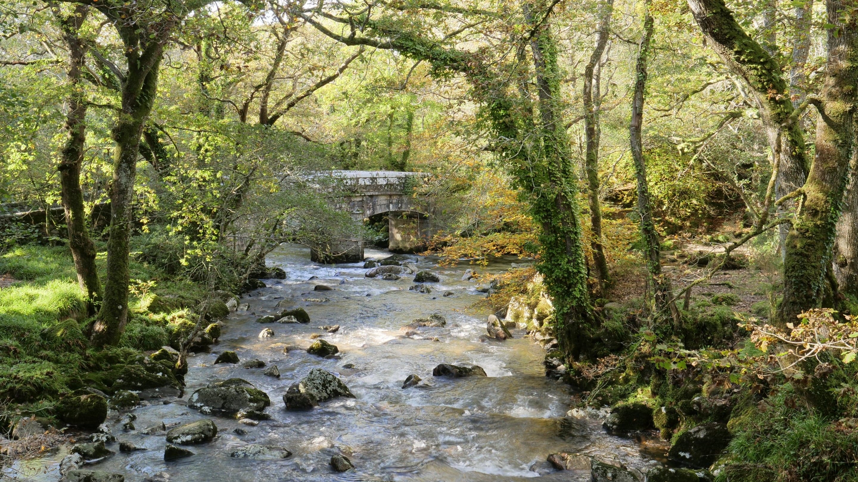 Shaugh Bridge