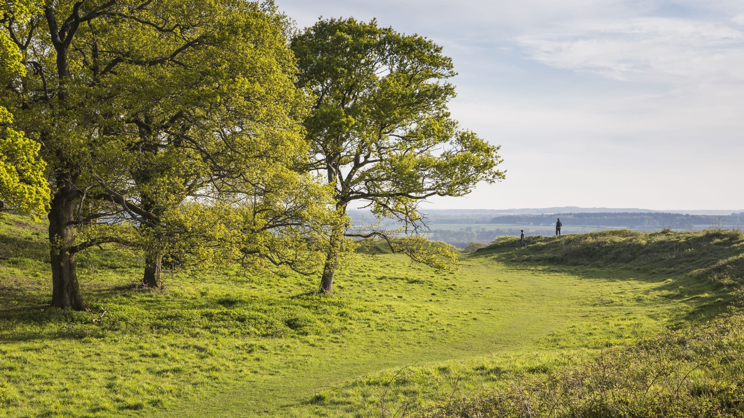 Badbury Rings