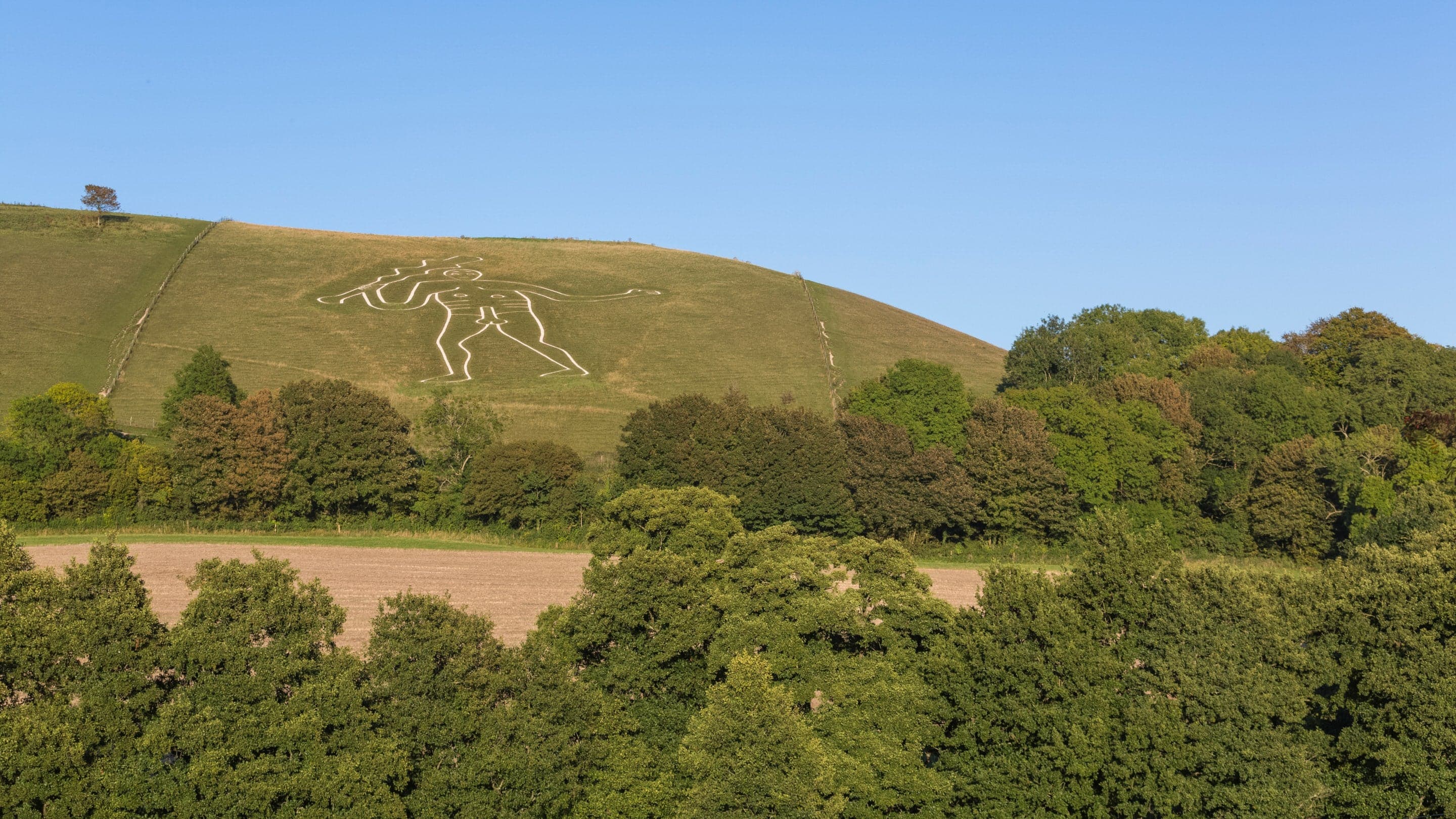 Cerne Giant