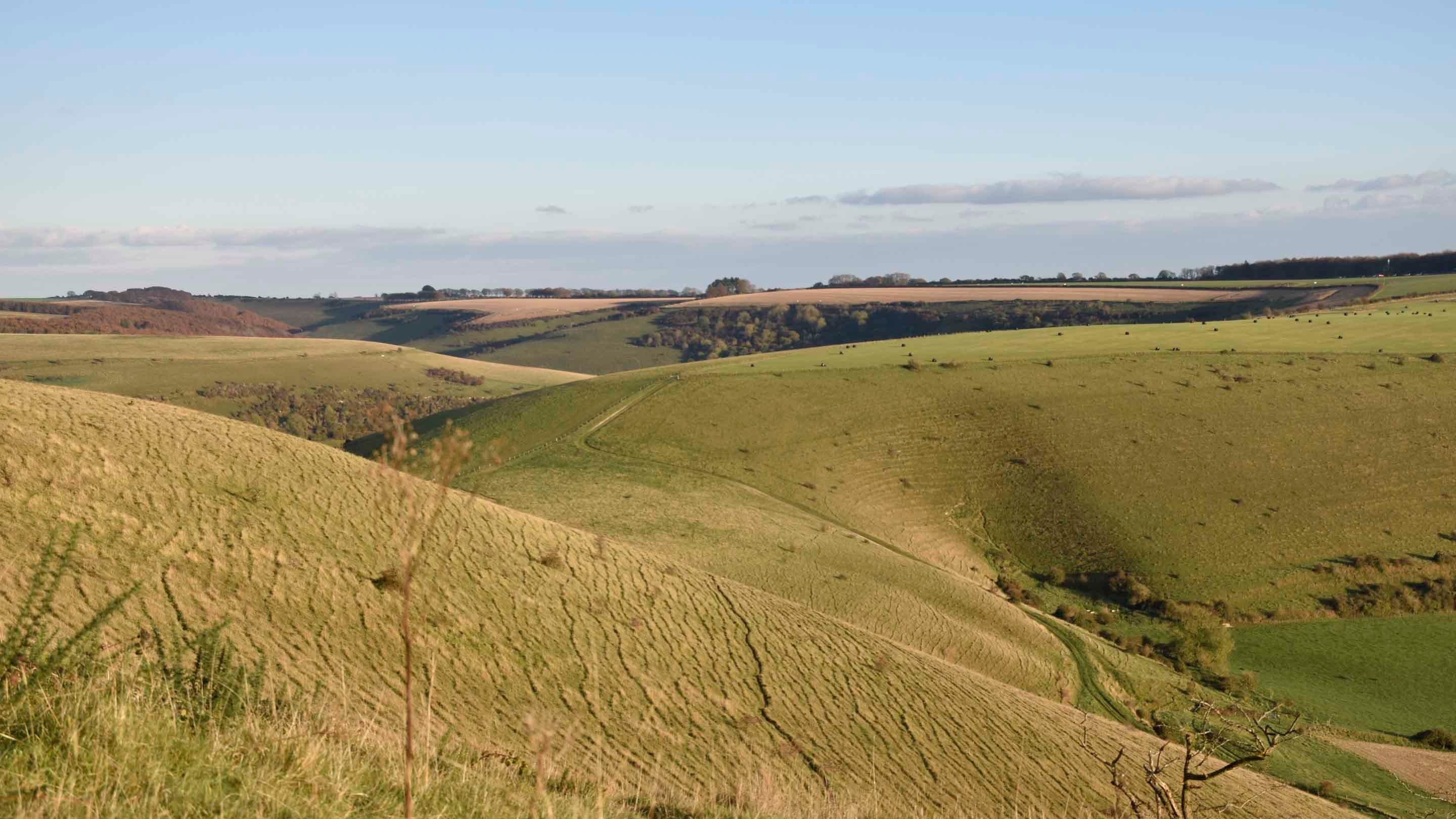 Fontmell and Melbury Downs