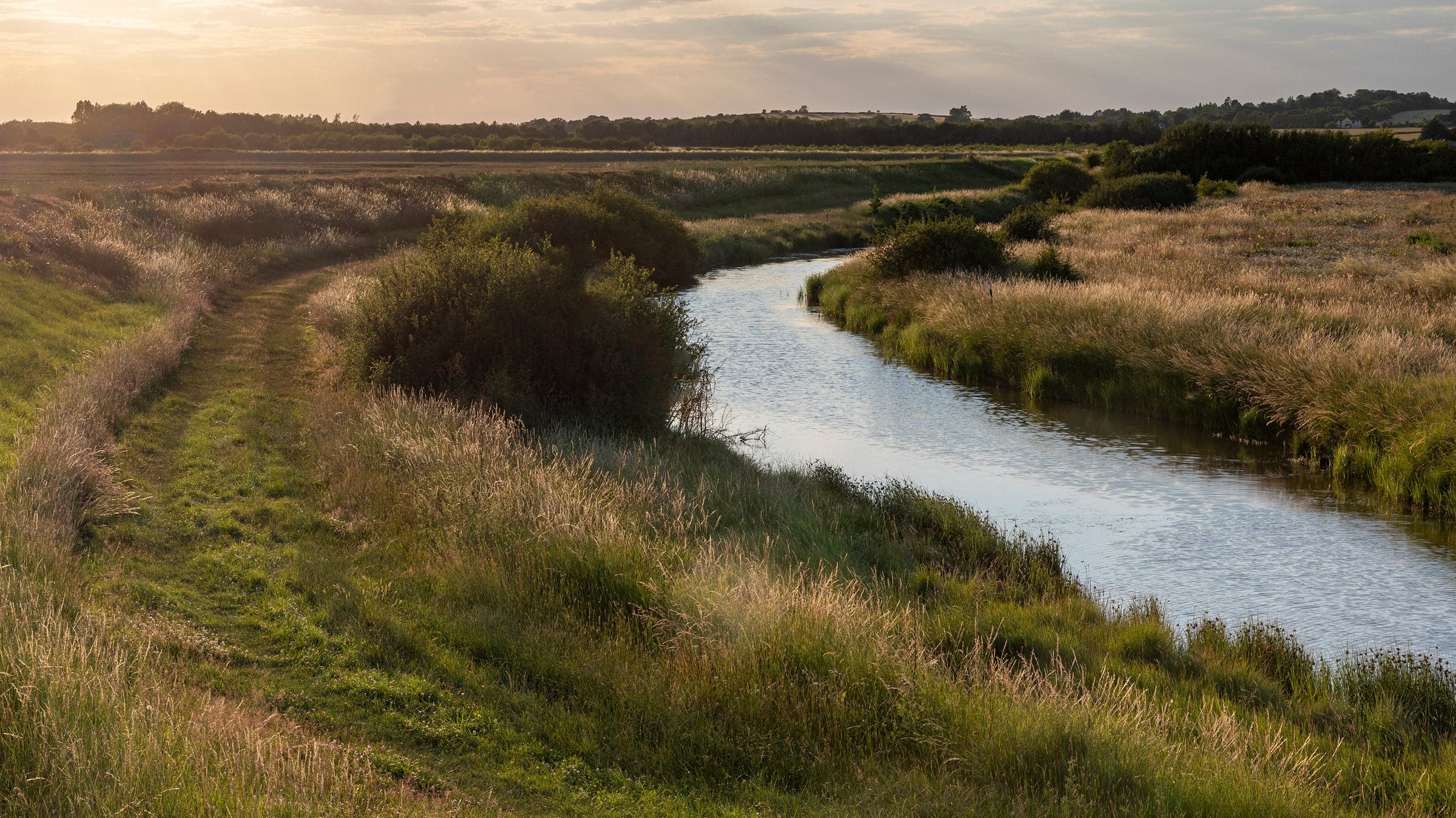 Copt Hall Marshes