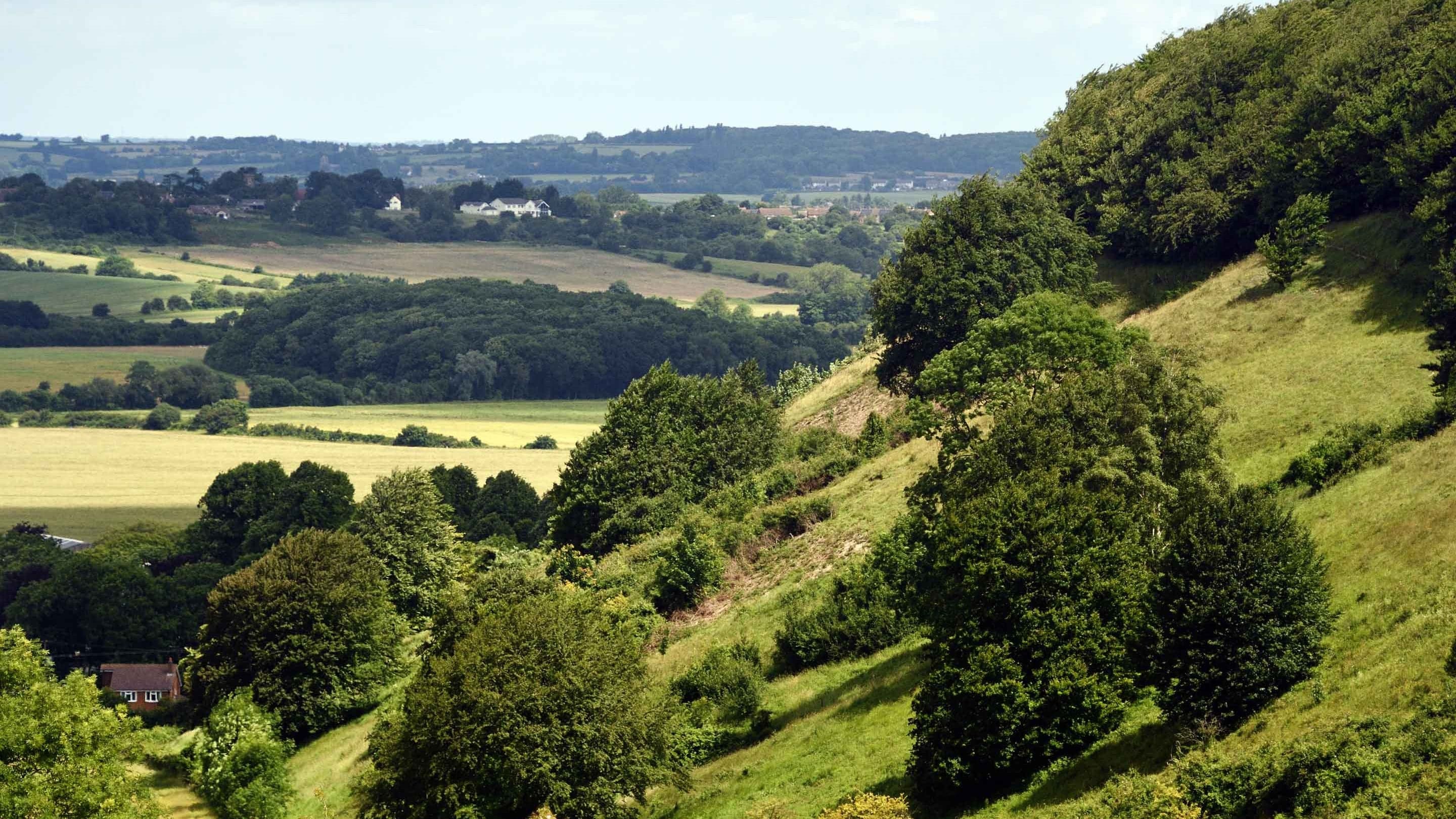 Sharpenhoe and Sundon Hills