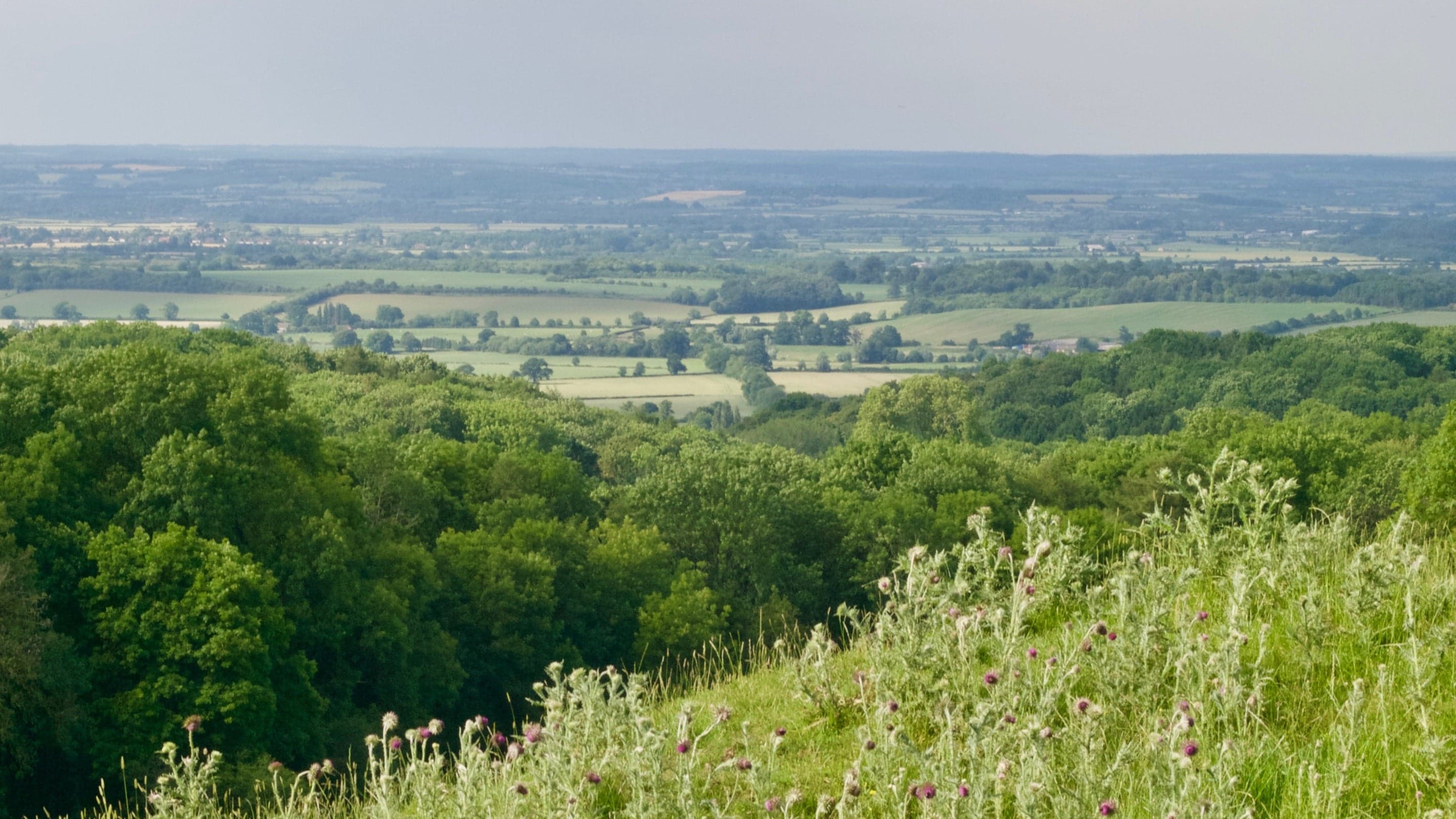 Dover's Hill