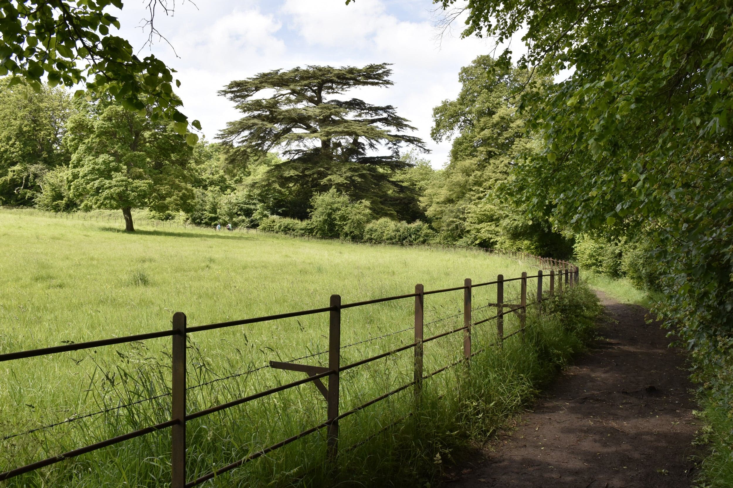 Lodge Park and Sherborne Park Estate