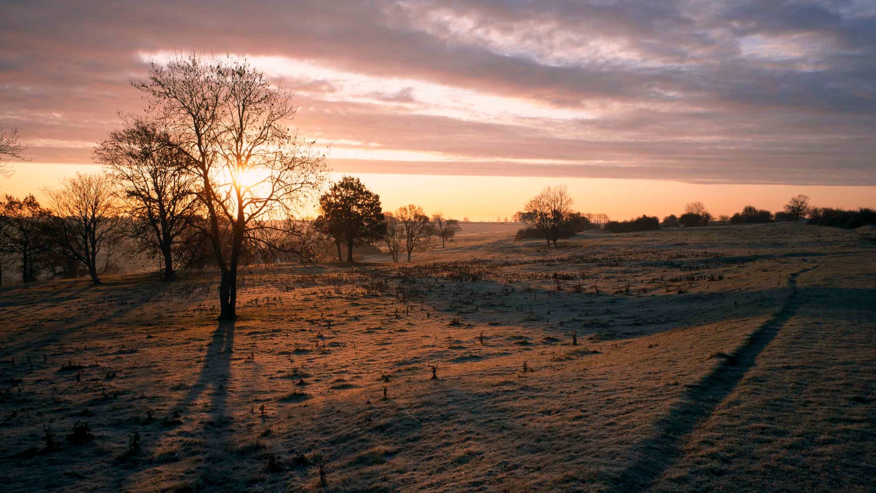 Minchinhampton and Rodborough Commons