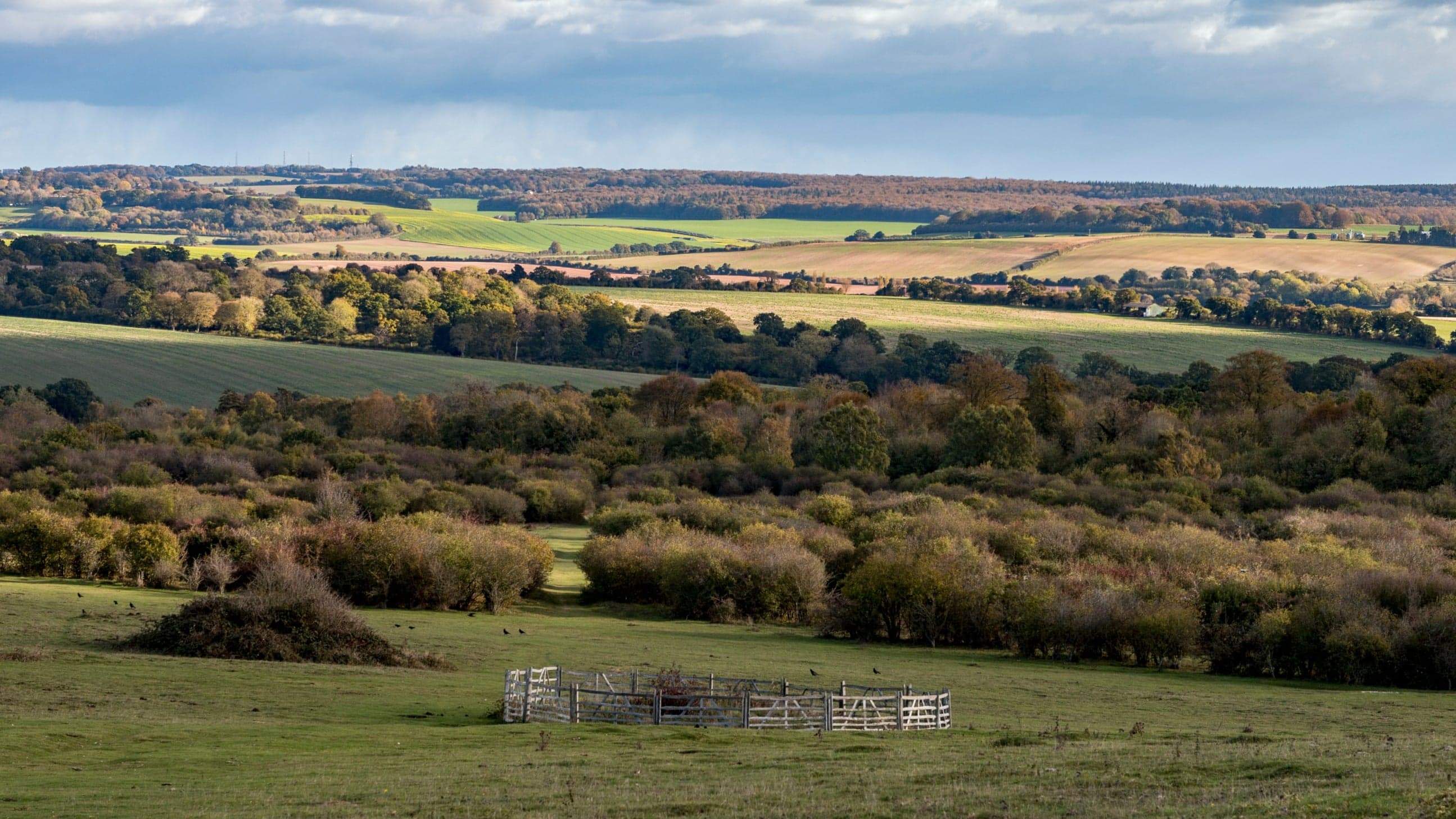 Stockbridge Down