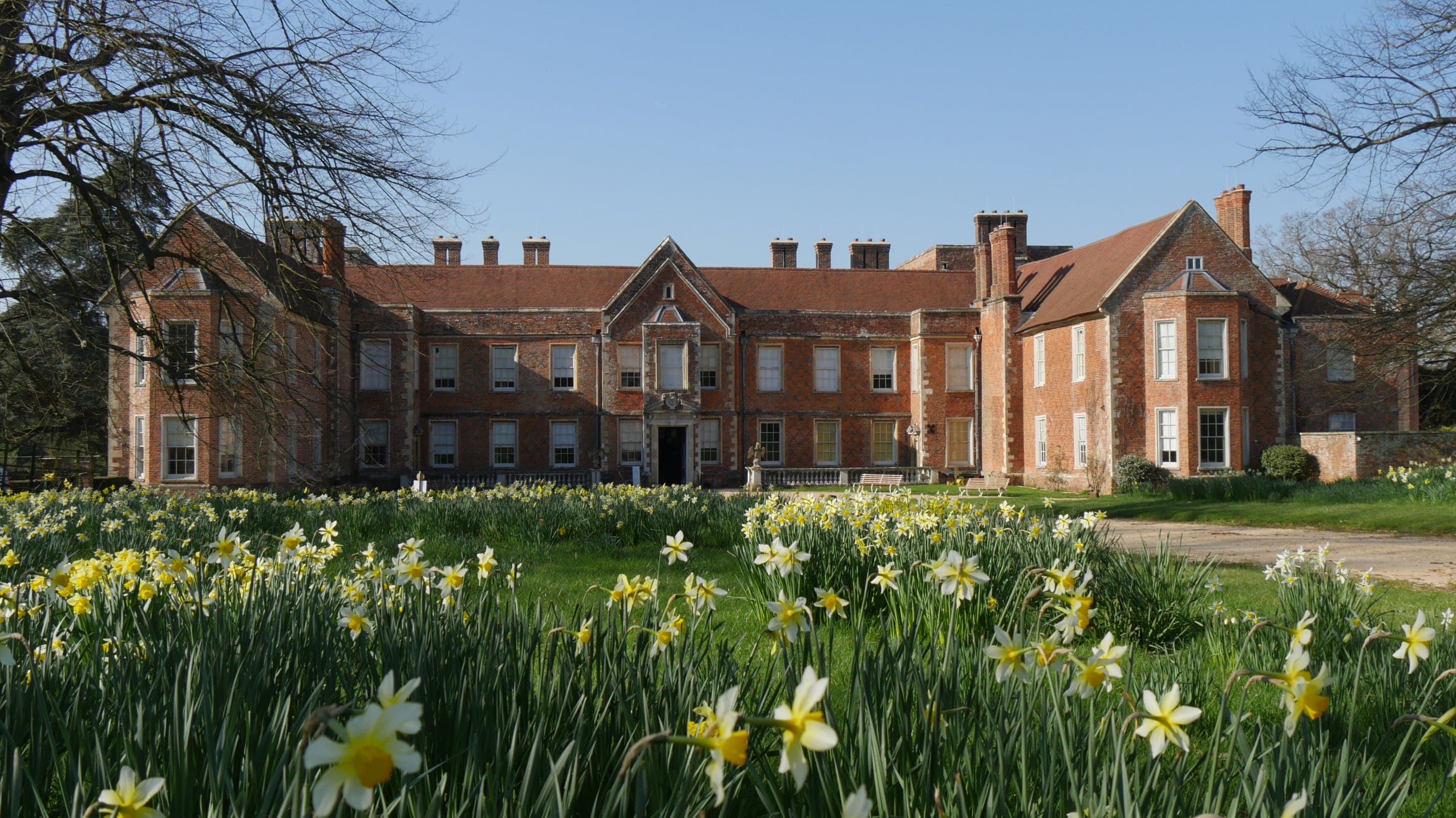 The Vyne