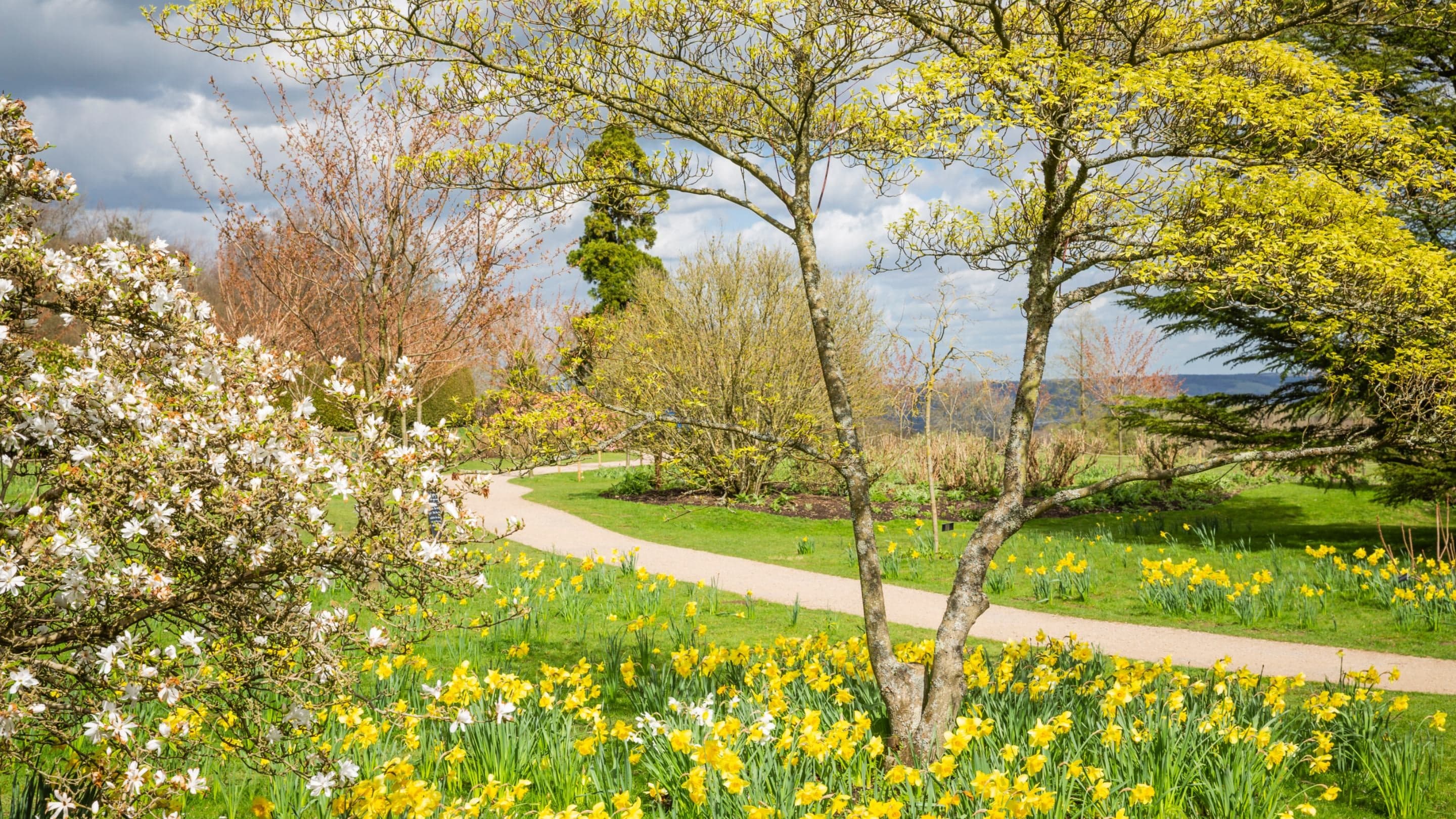 Emmetts Garden