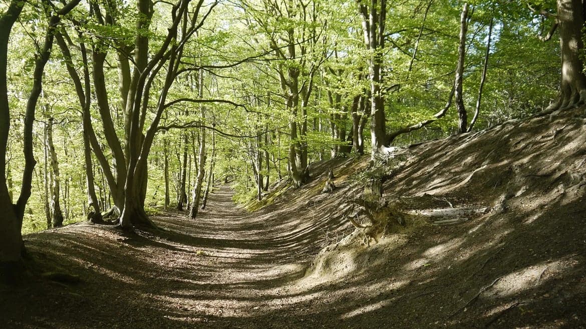 Oldbury Hill