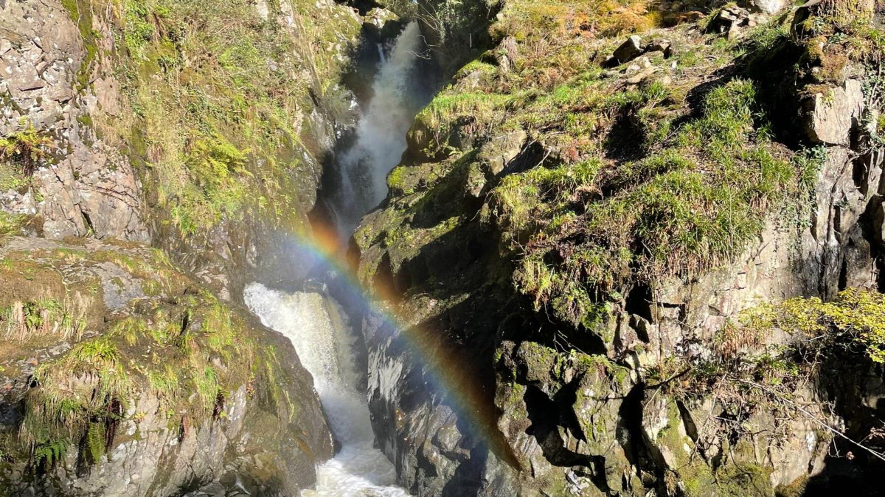 Aira Force and Gowbarrow Park