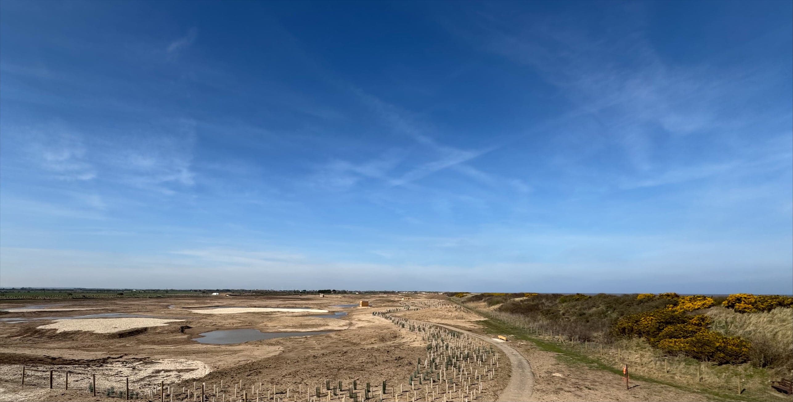 Sandilands