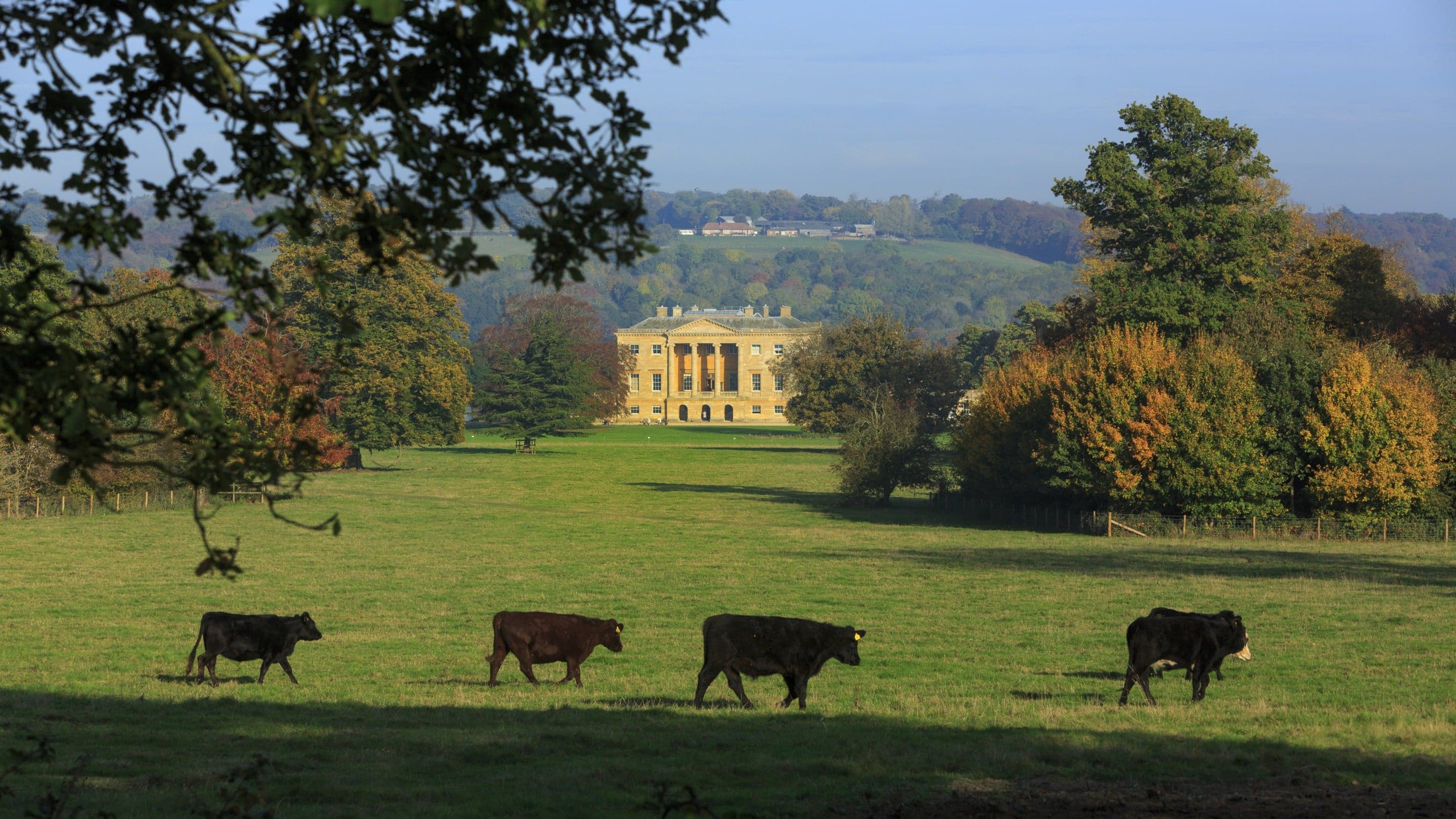 Basildon Park