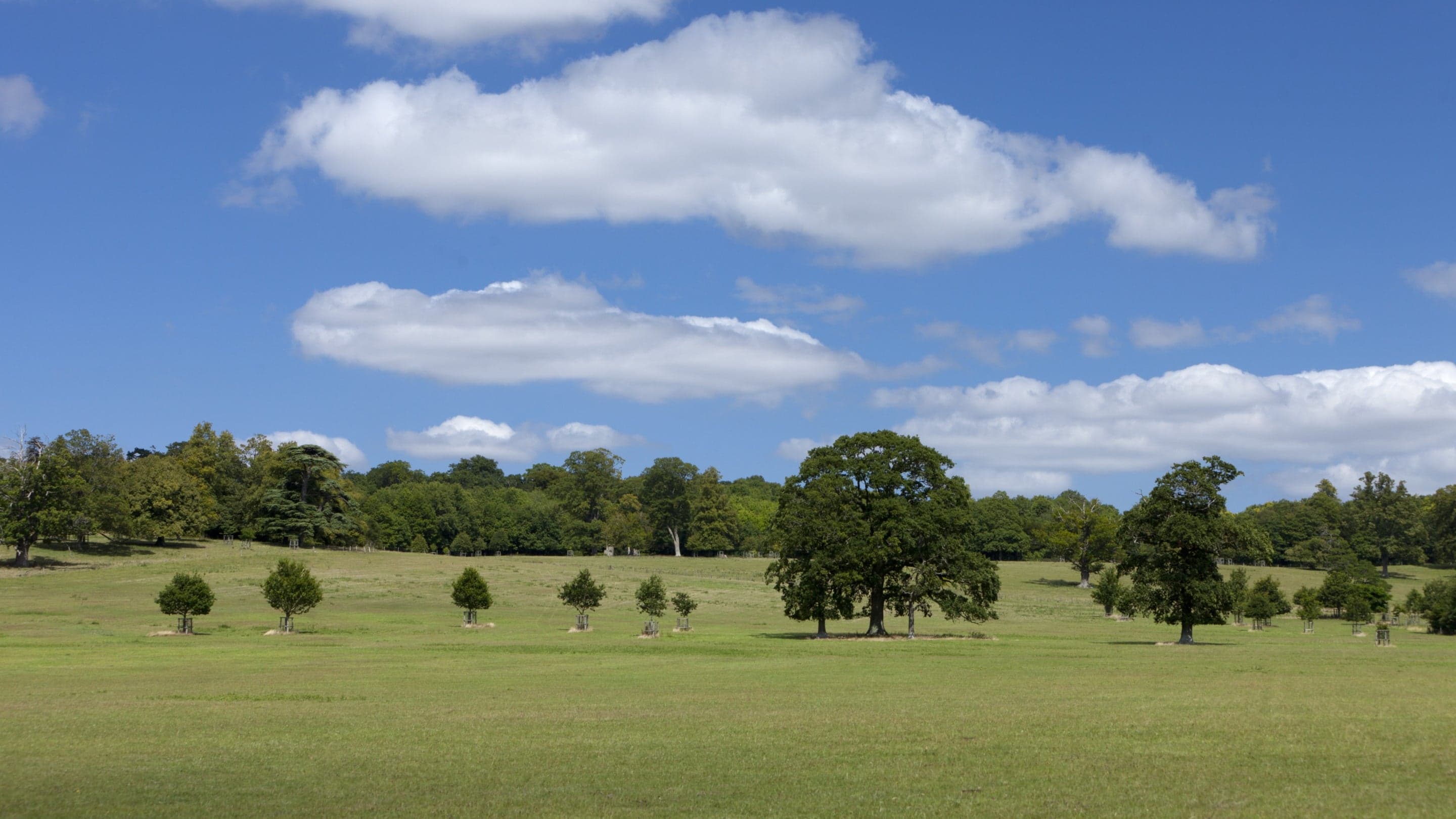 Buscot and Coleshill Estates