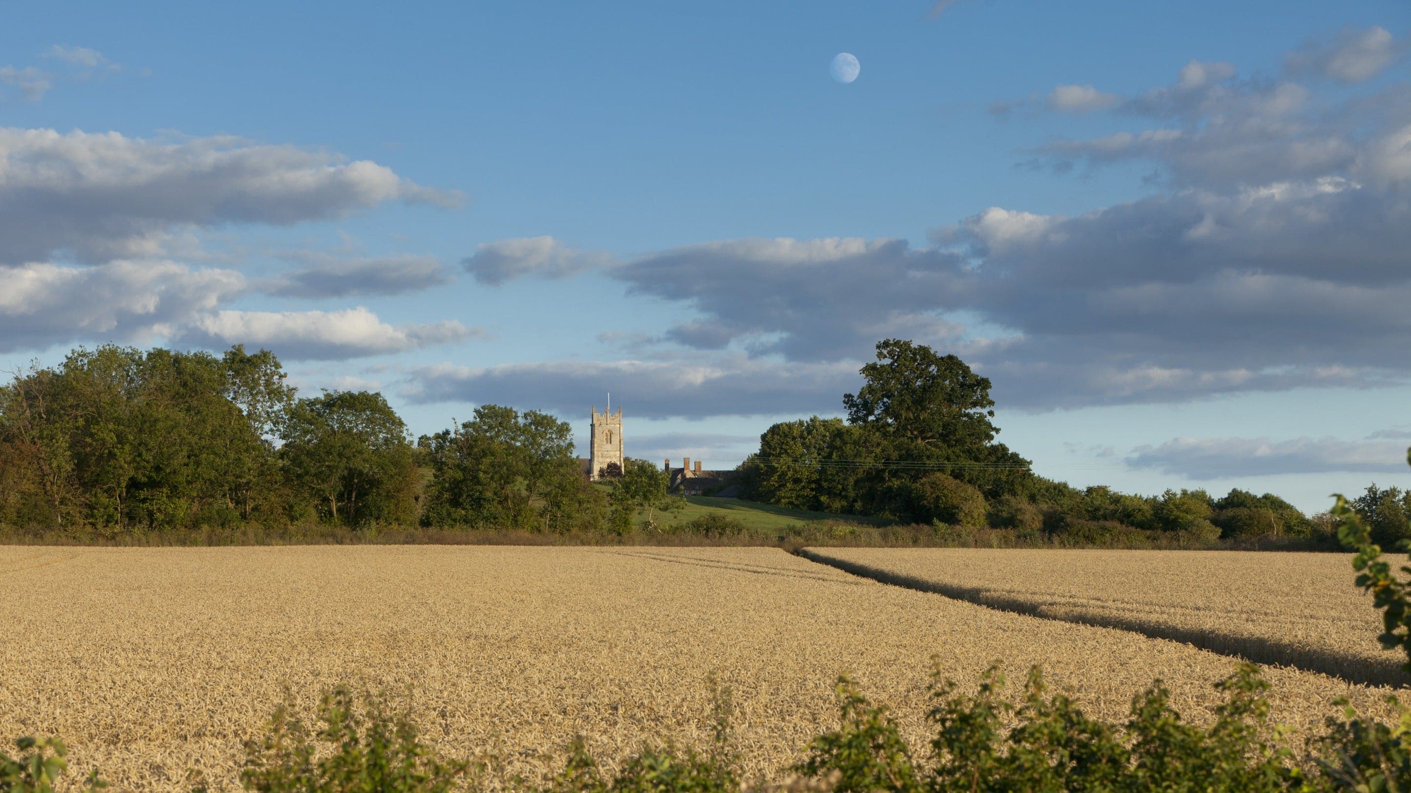 Coleshill Village and Parkland