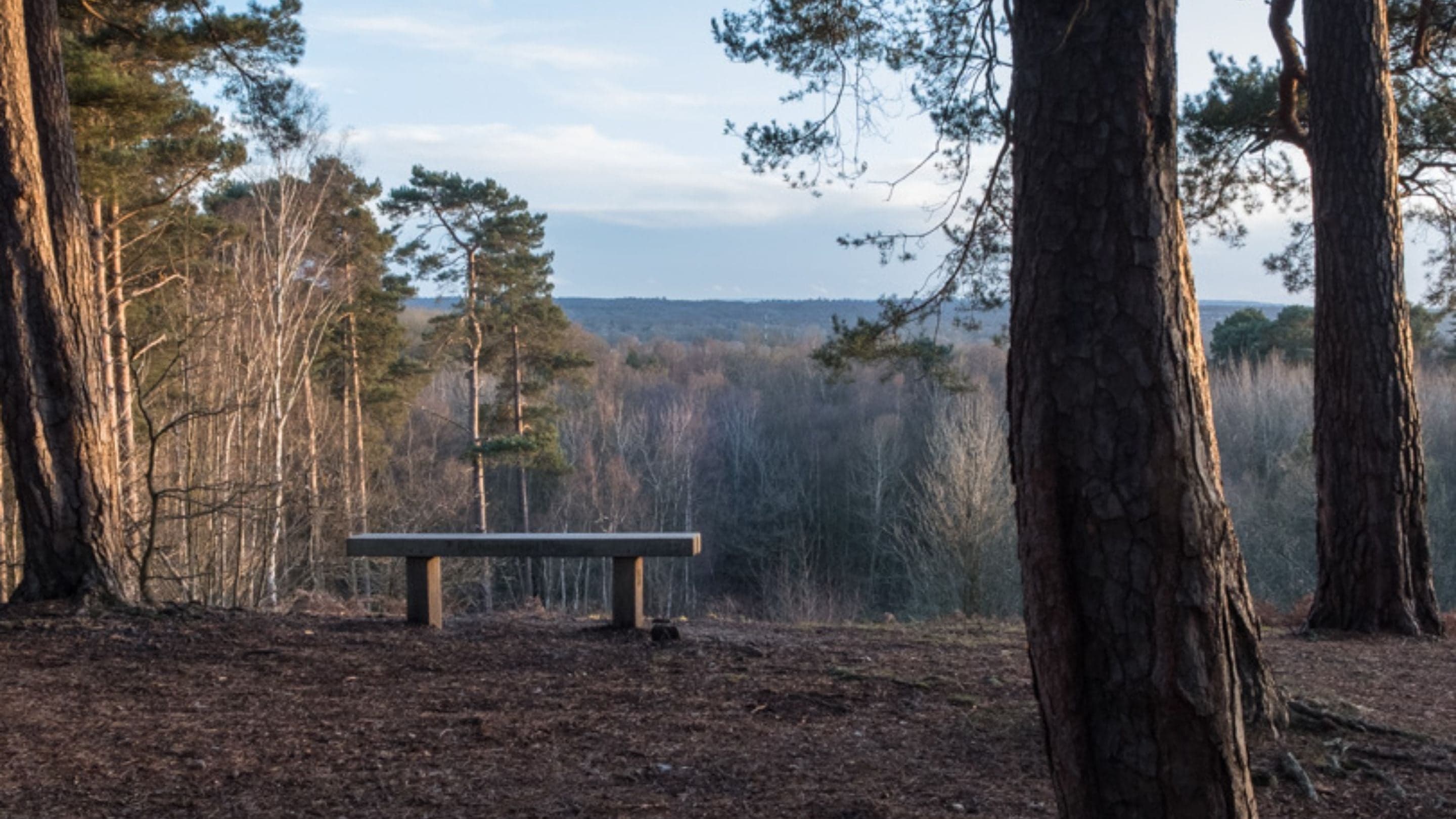 Simon's Wood and Finchampstead Ridges