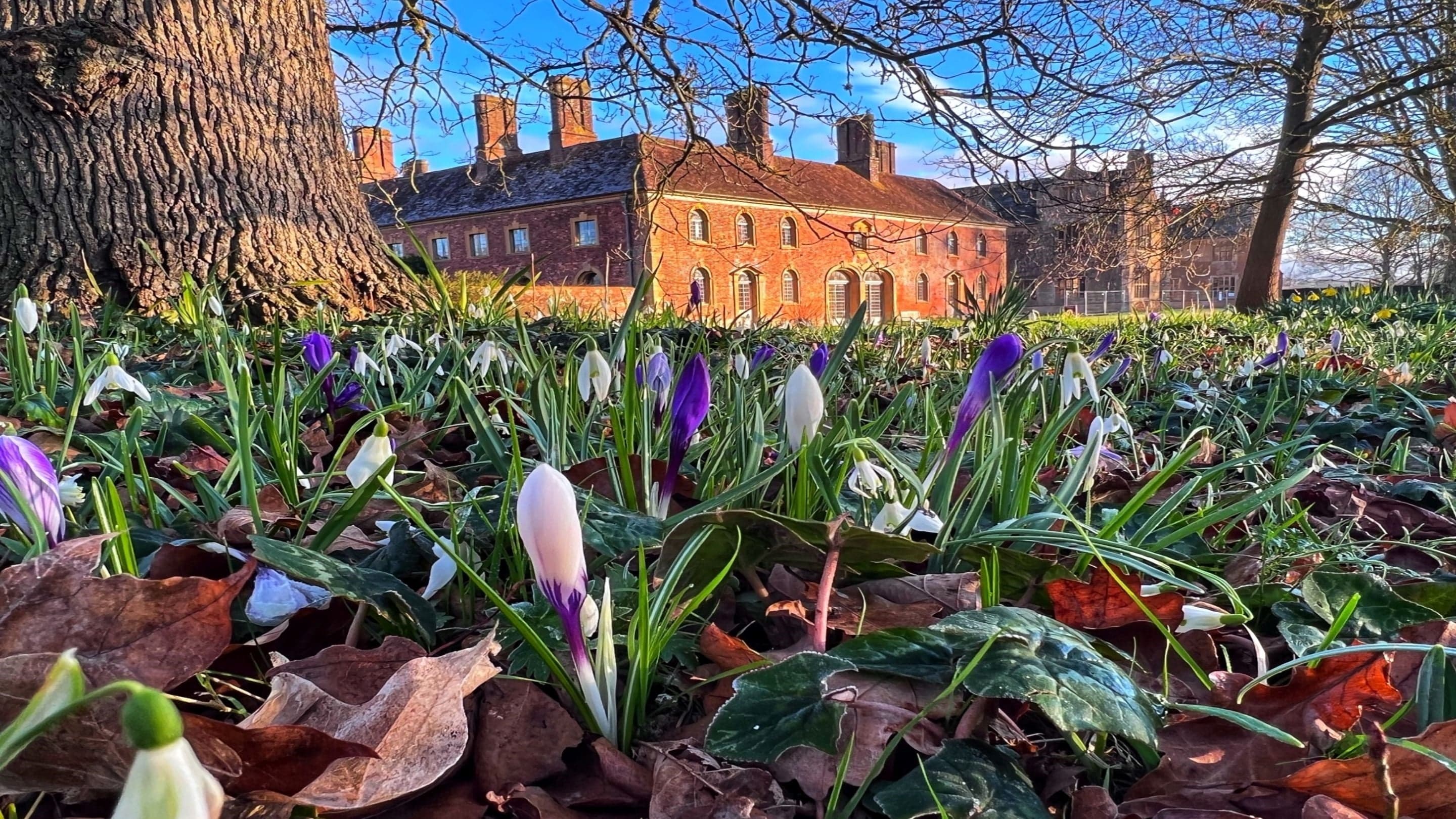Barrington Court