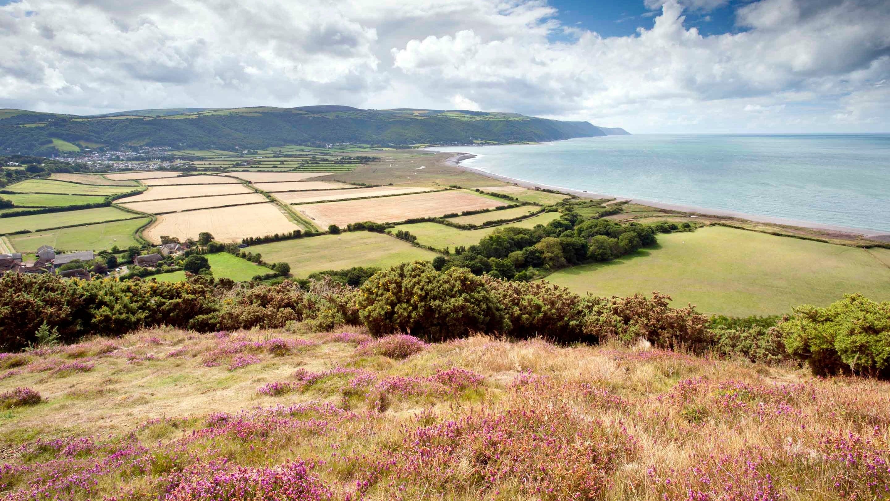 Bossington