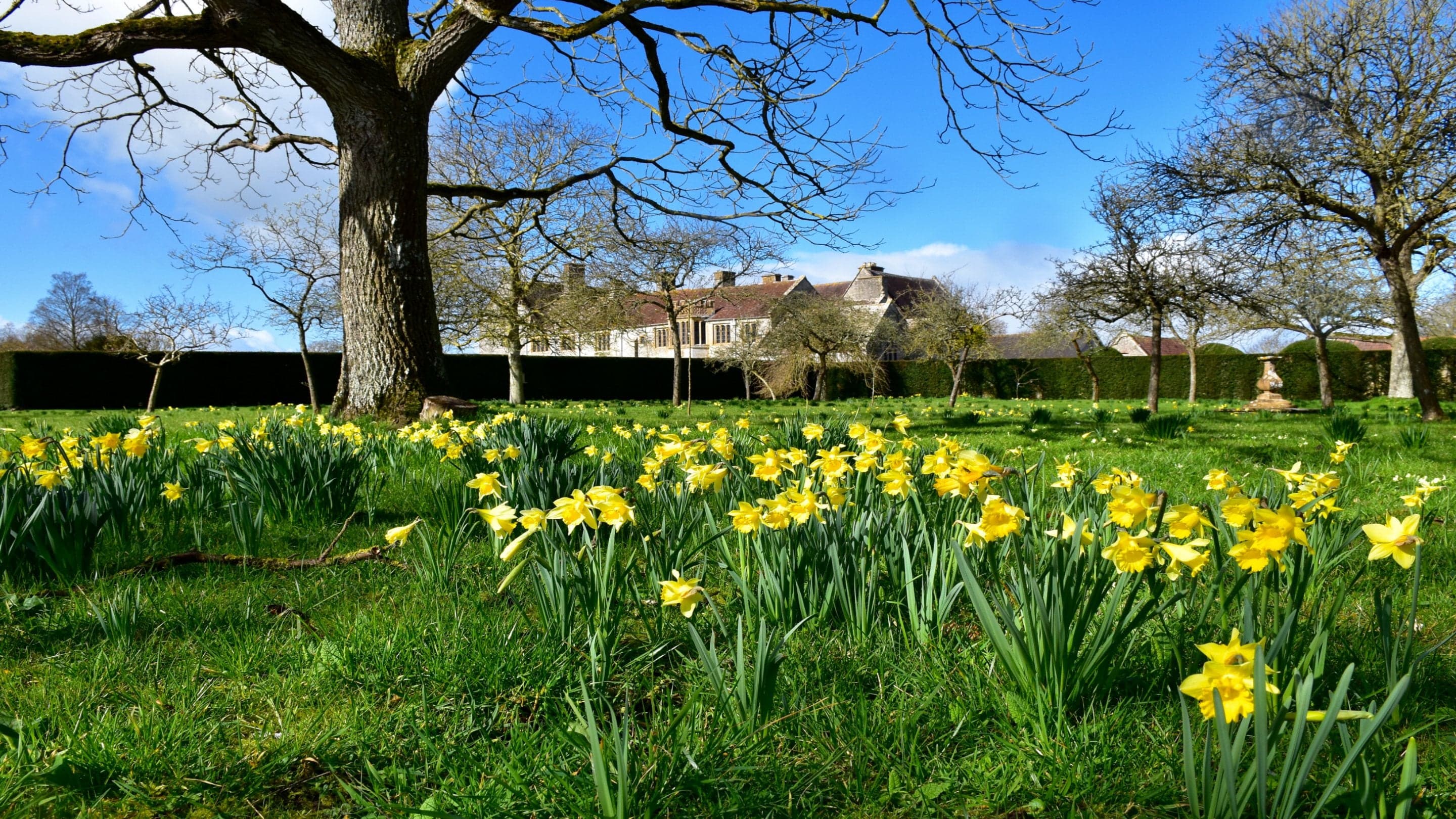 Lytes Cary Manor