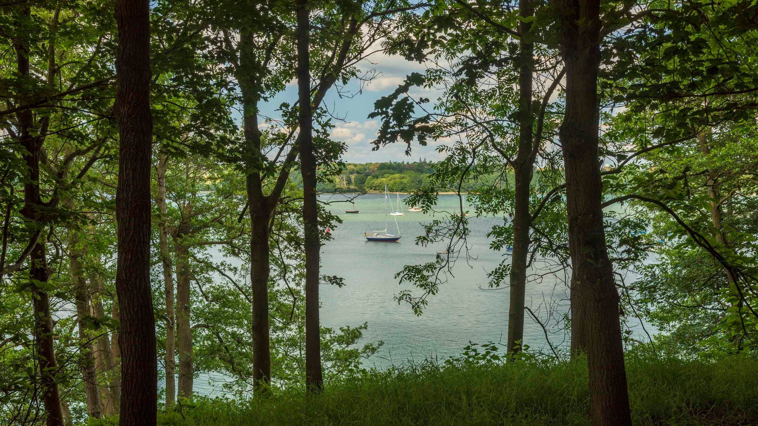 Pin Mill