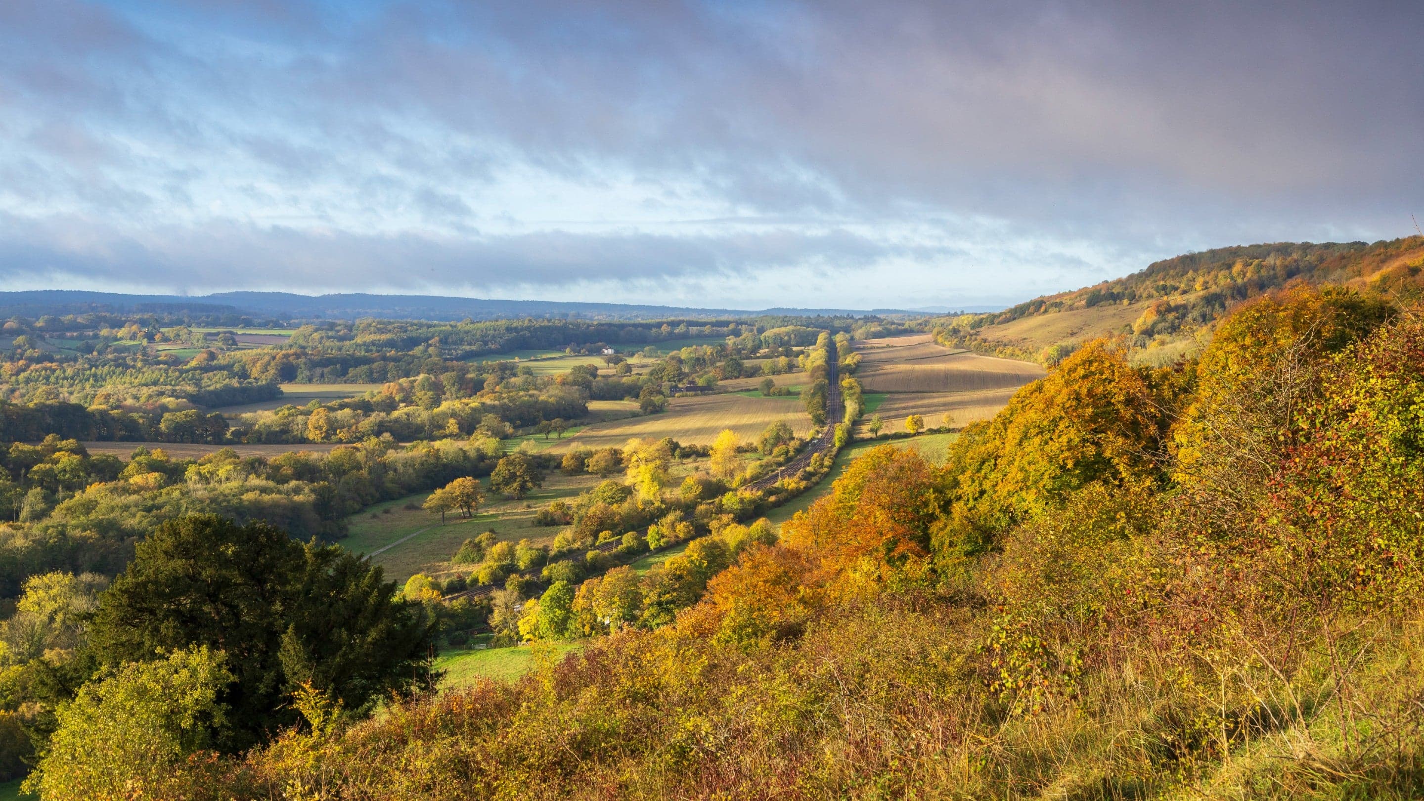 Denbies Hillside