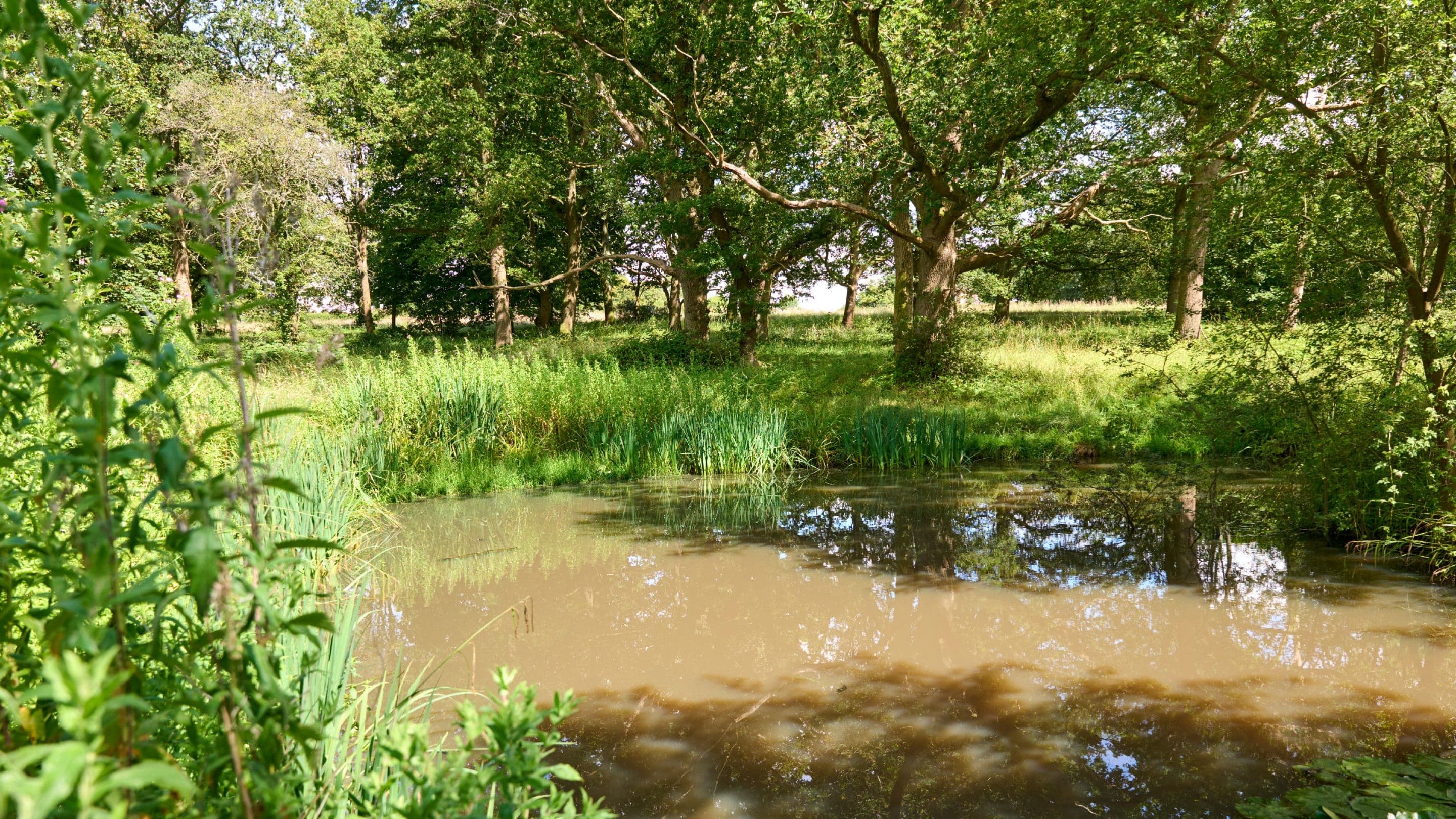 Harewoods