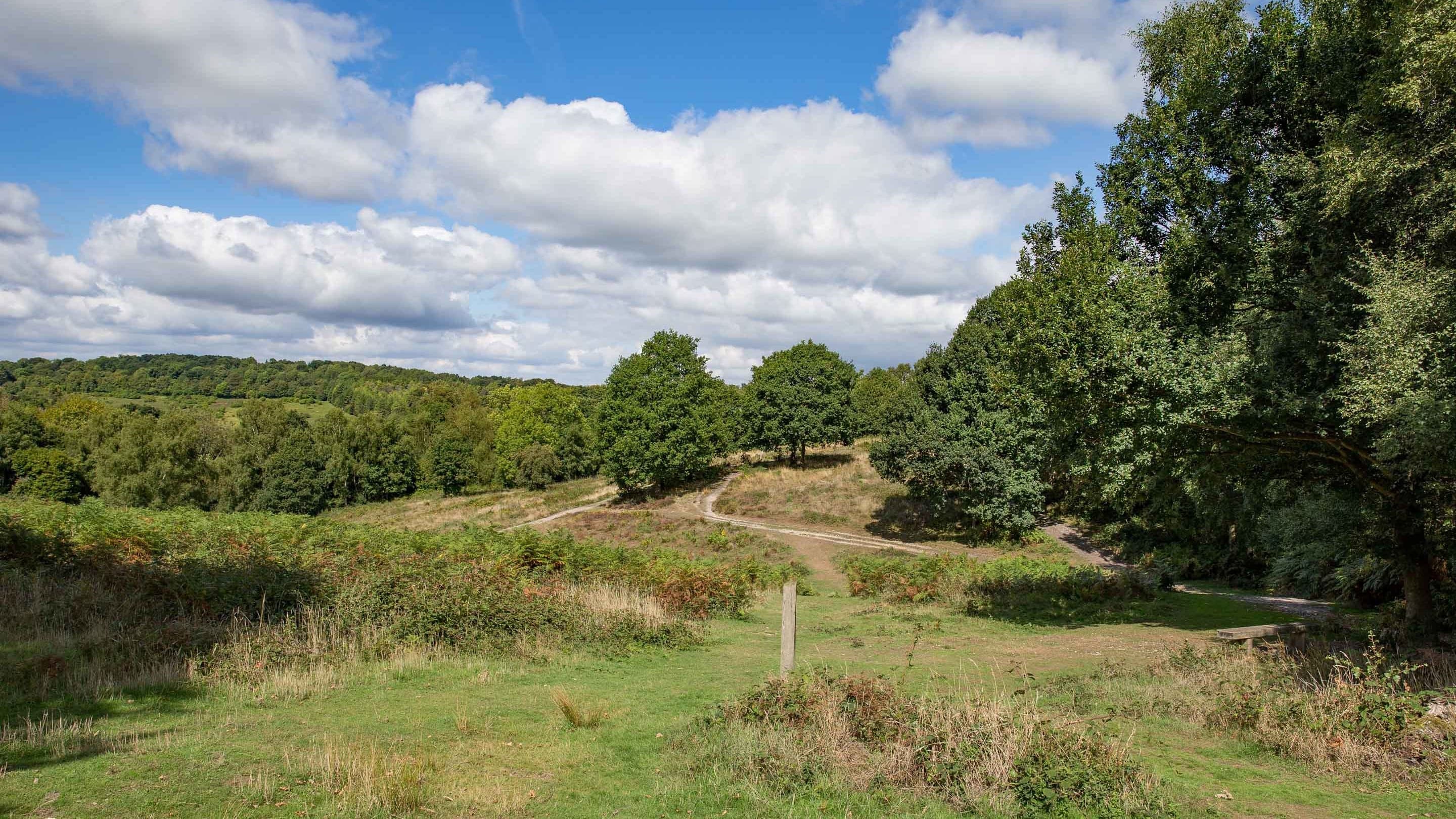 Headley Heath