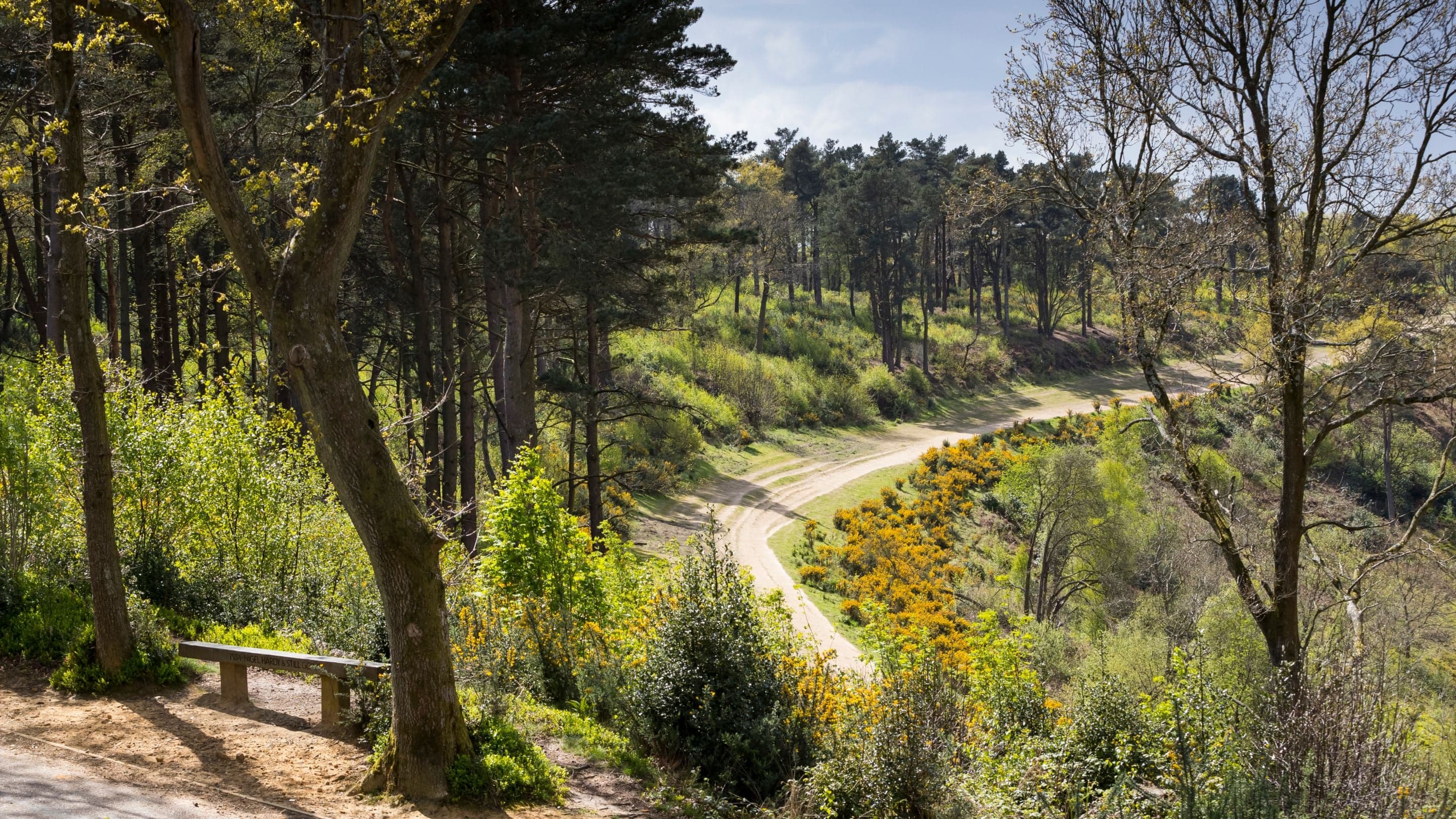 Hindhead Commons and the Devil's Punch Bowl