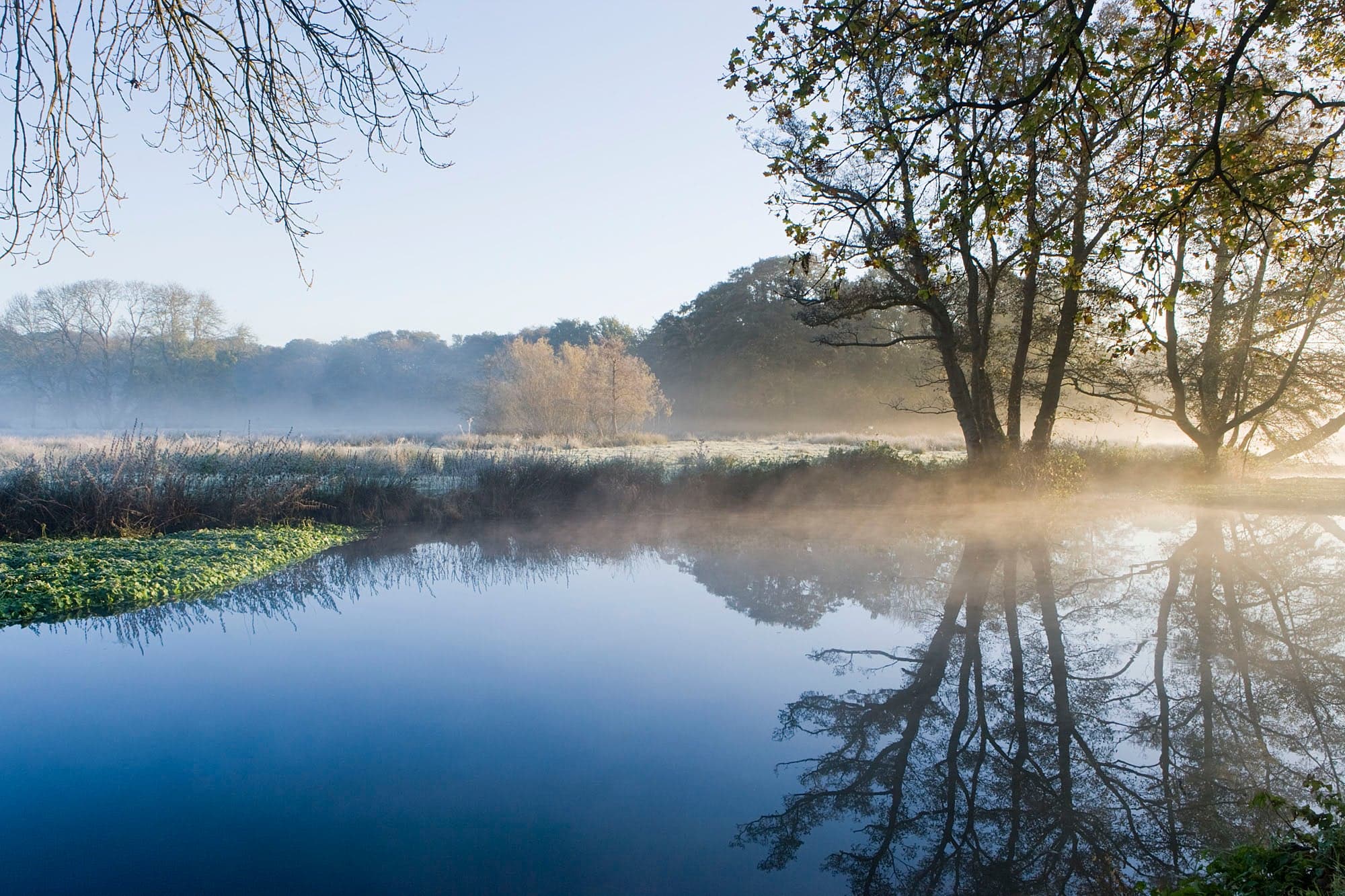 River Wey and Godalming Navigations and Dapdune Wharf