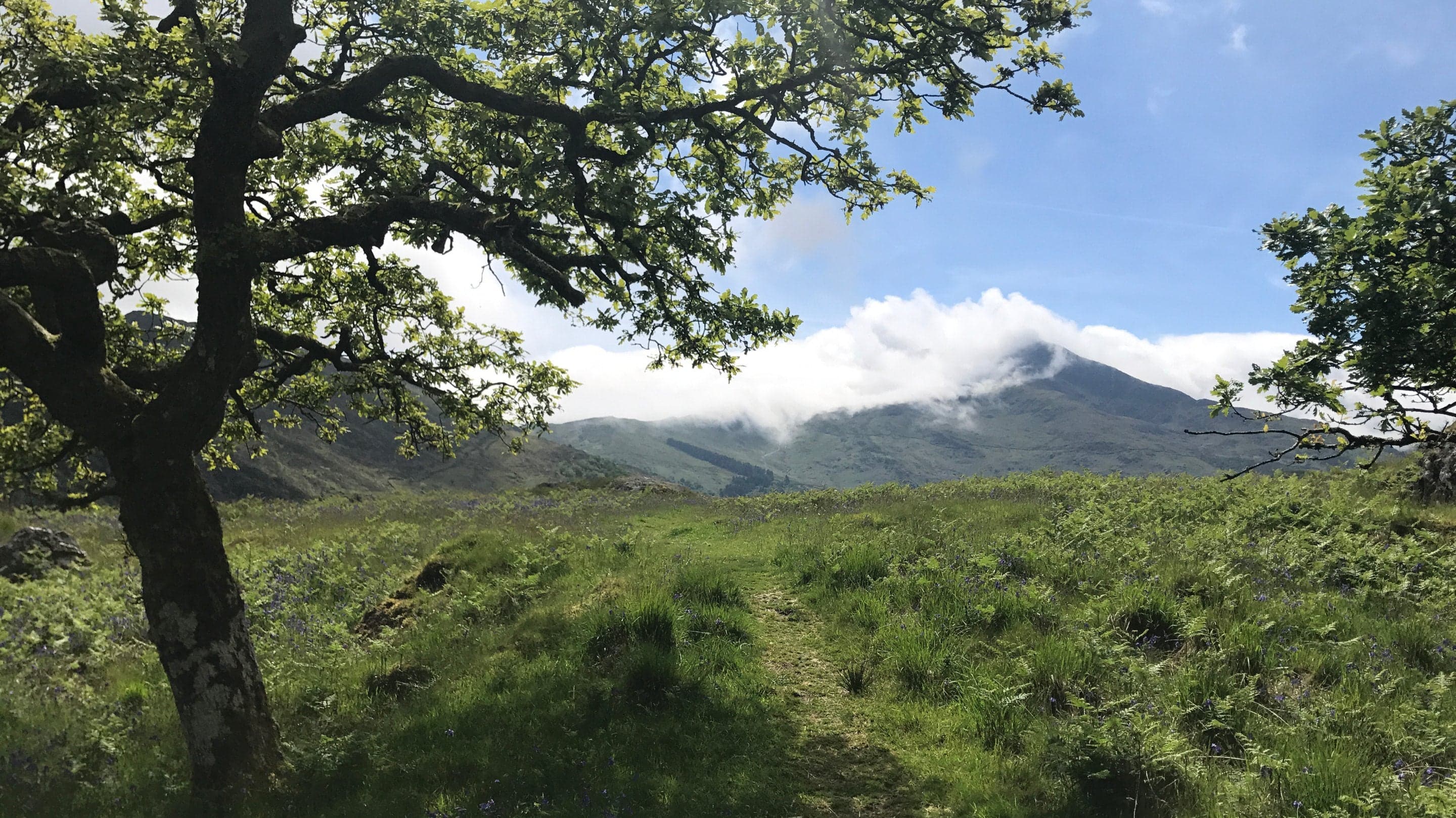 Craflwyn and Beddgelert