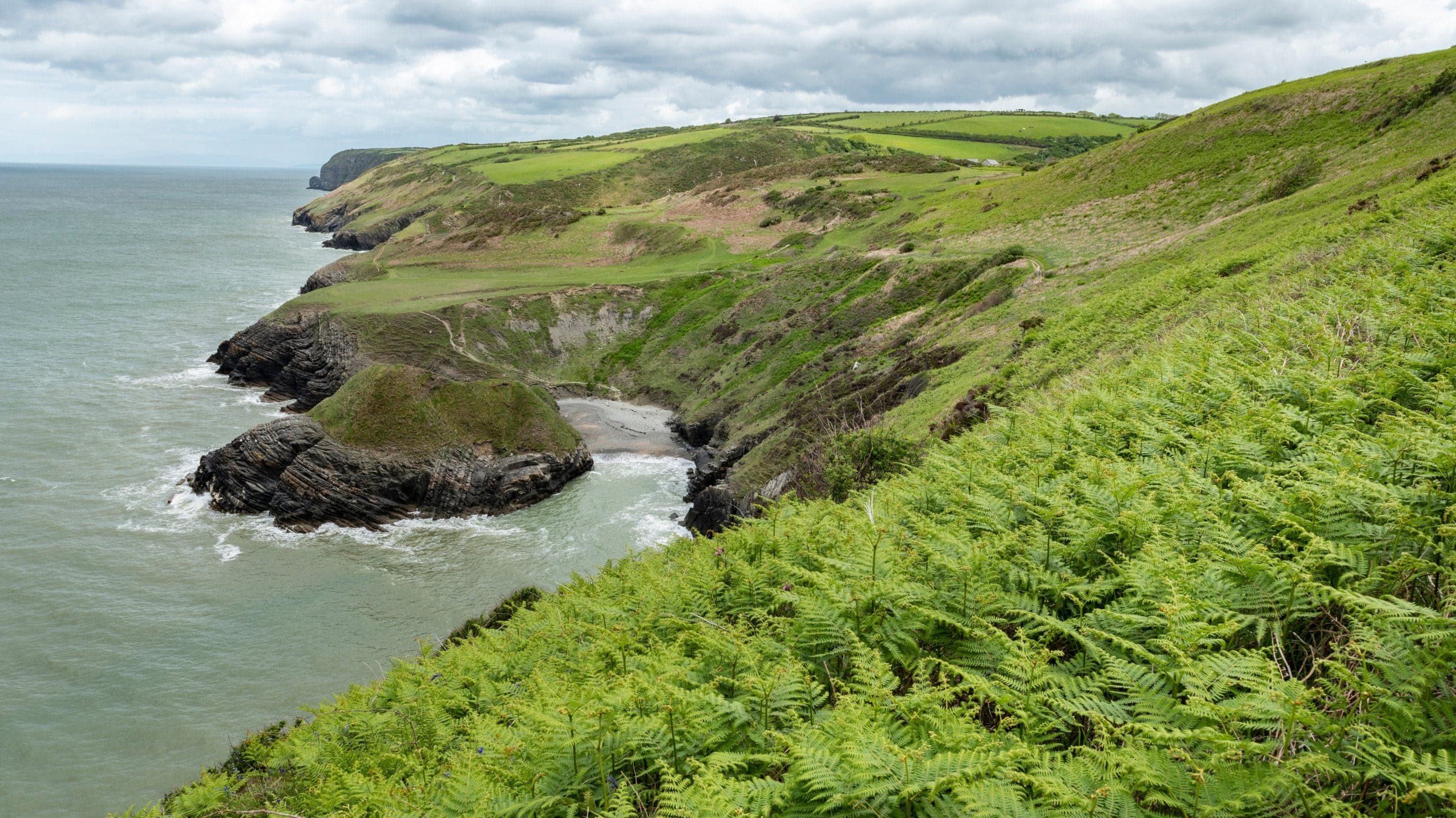 Cwmtydu to New Quay