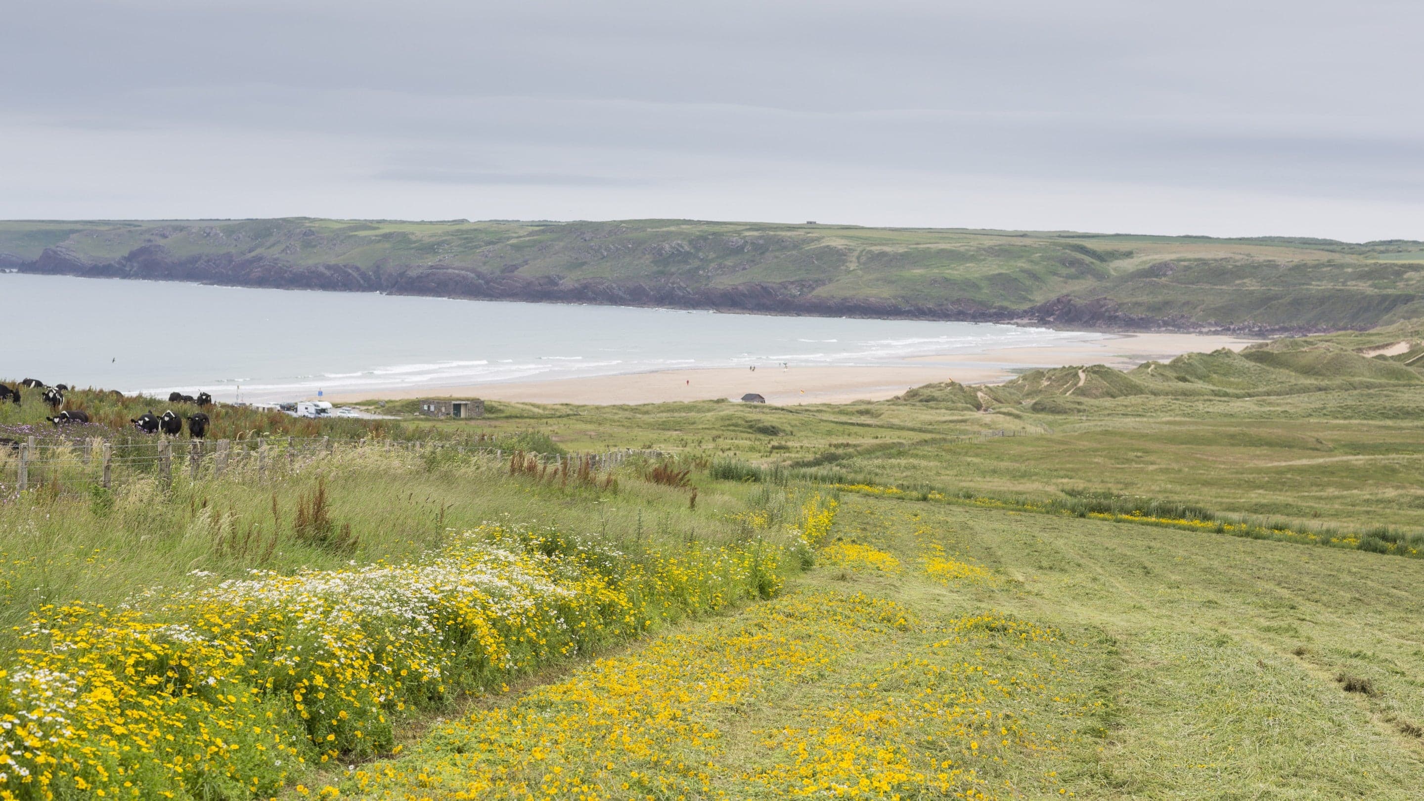 Freshwater West and Gupton Farm