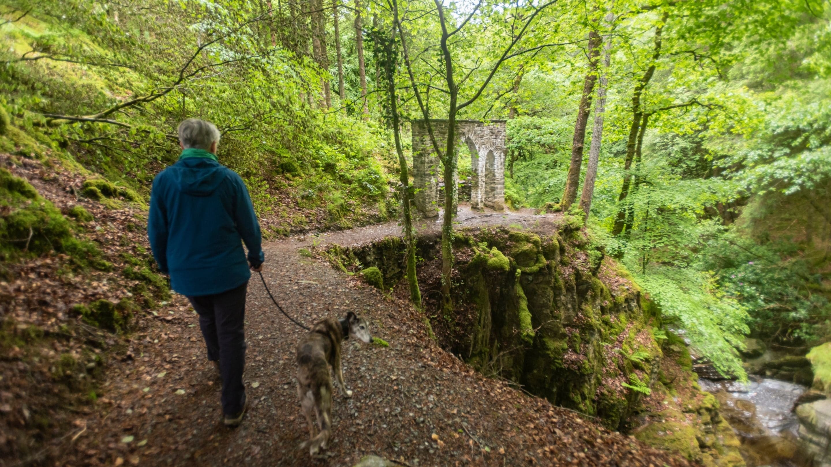 Hafod Estate