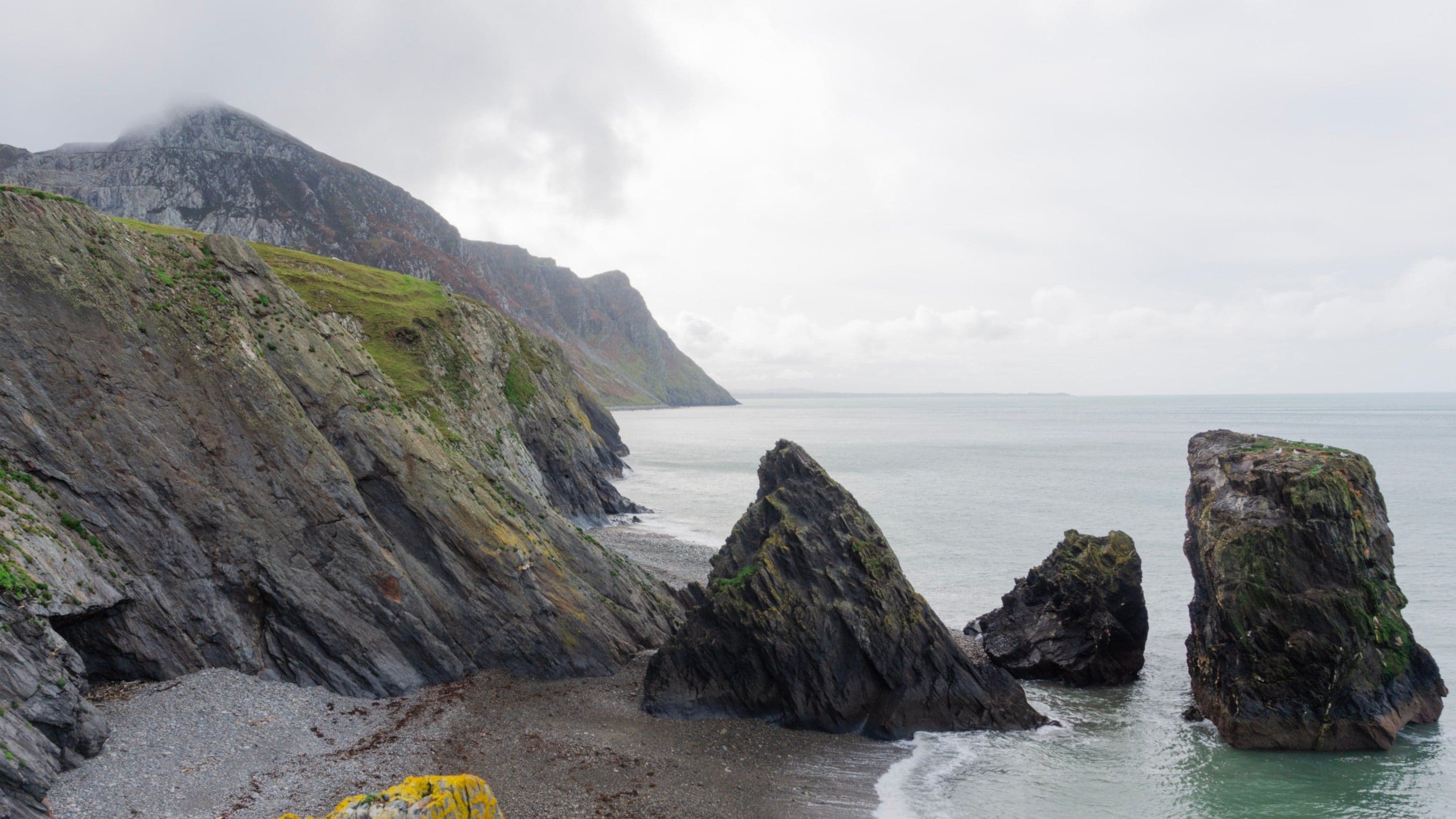 Morfa and Nant Bach
