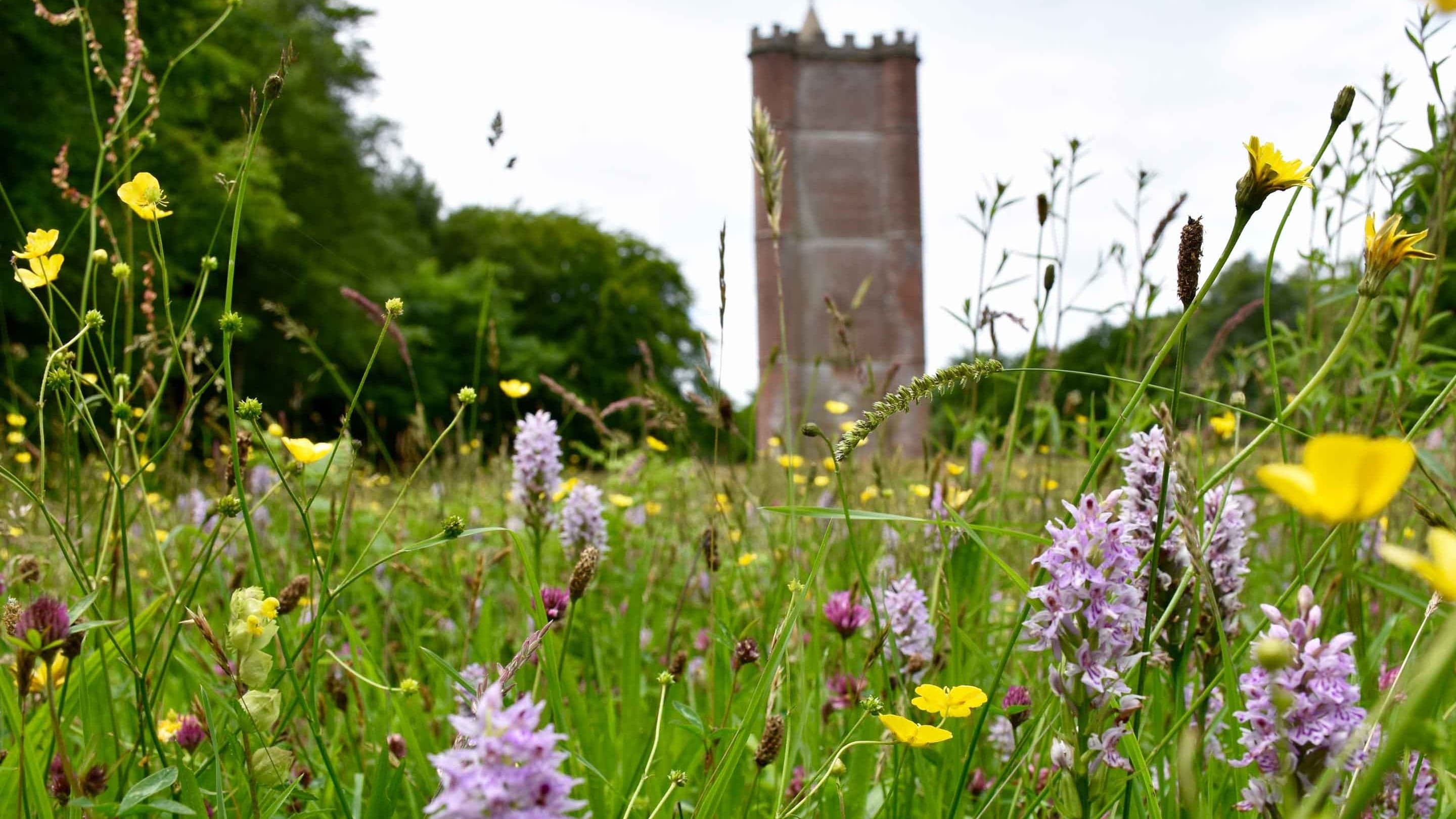 Alfred's Tower