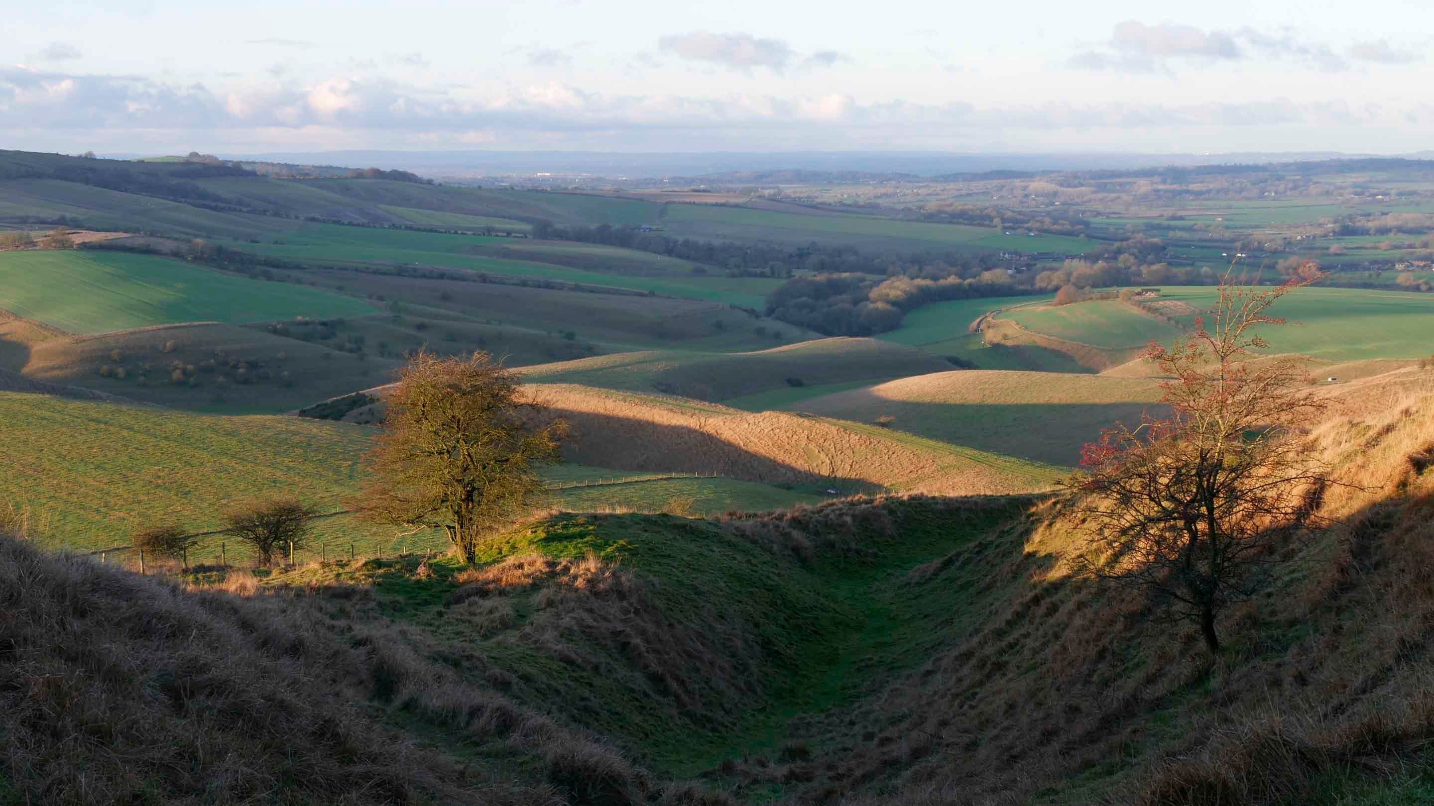 Calstone and Cherhill Downs