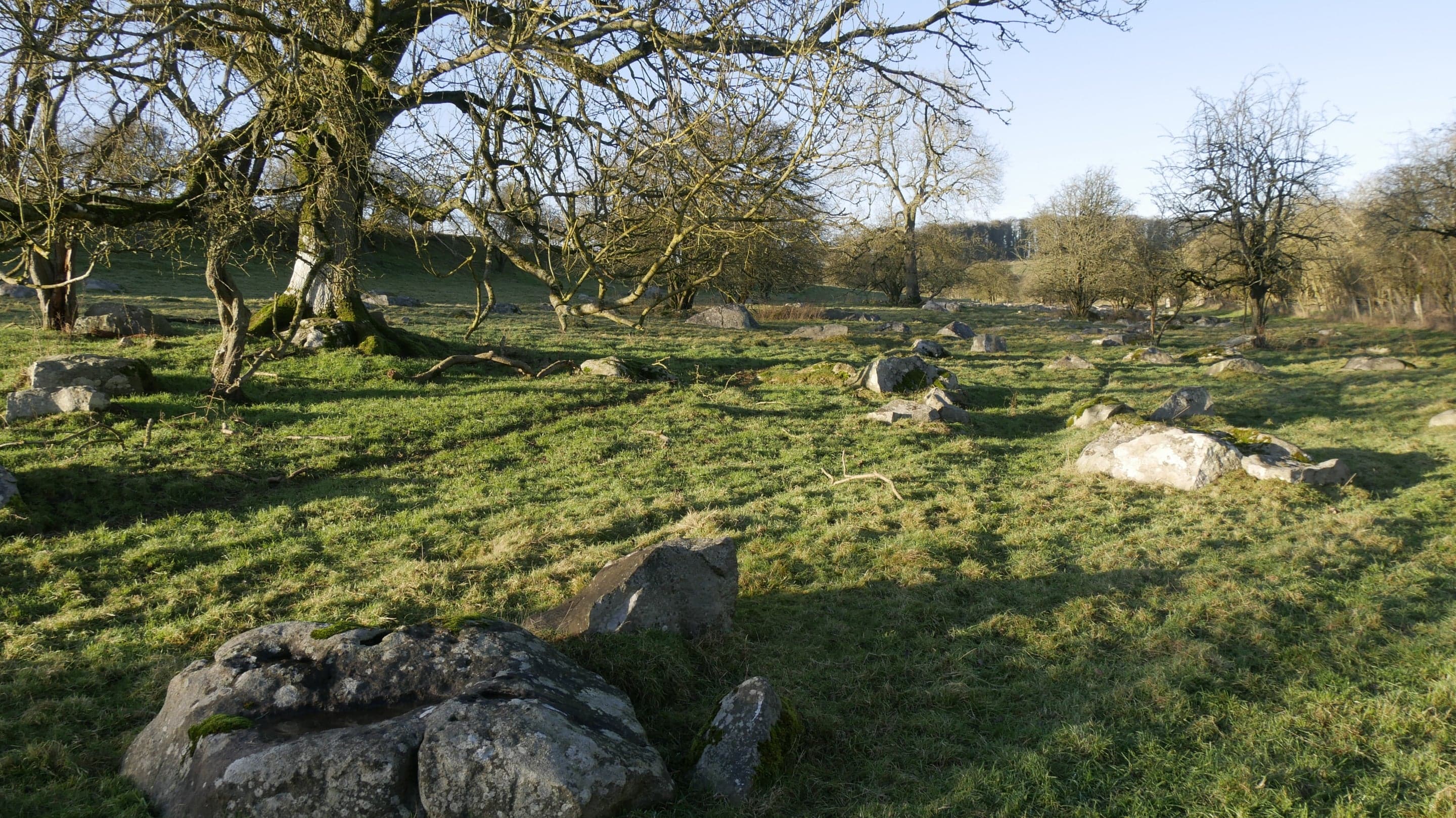 Lockeridge Dene and Piggledene