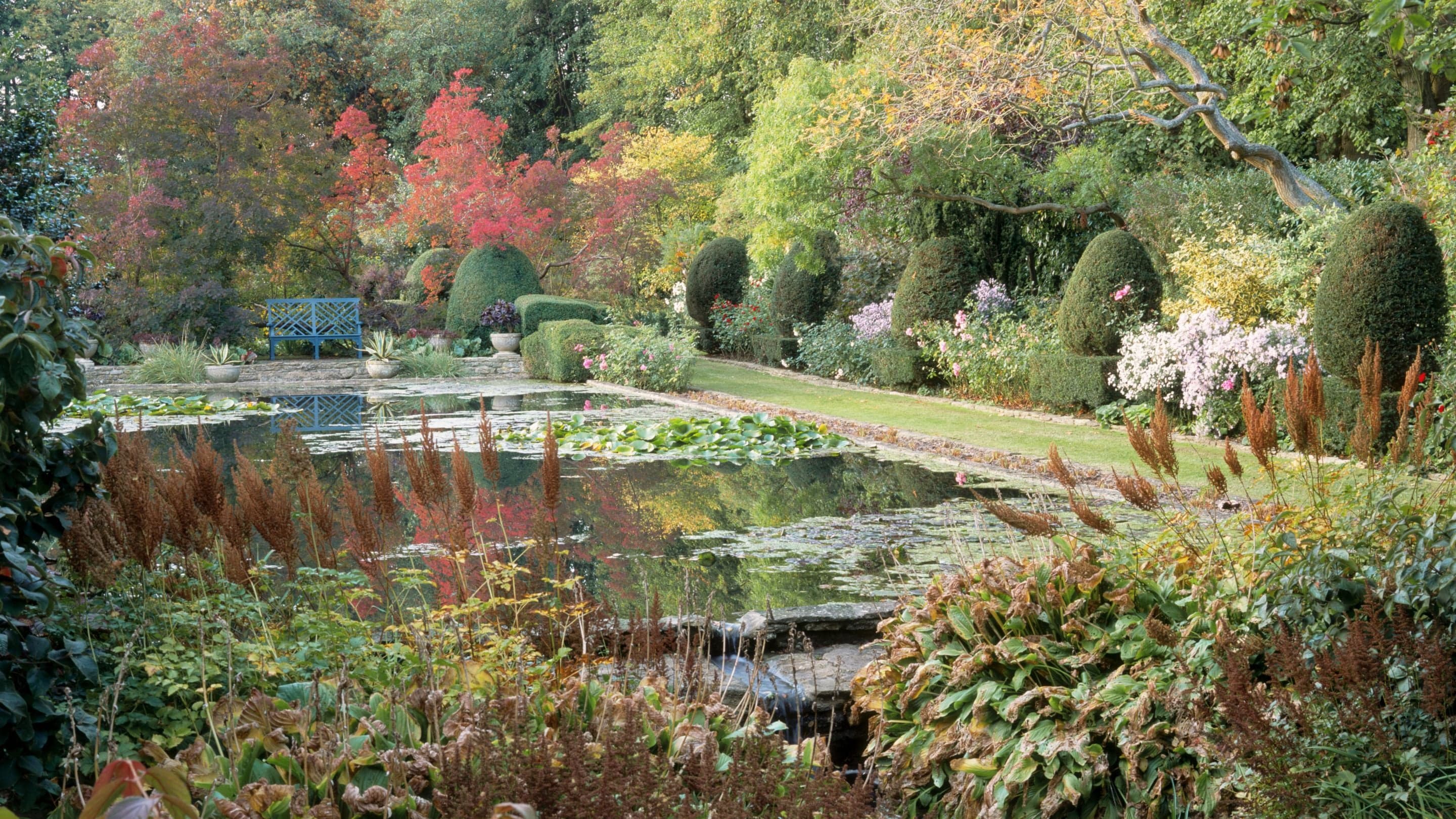 The Courts Garden