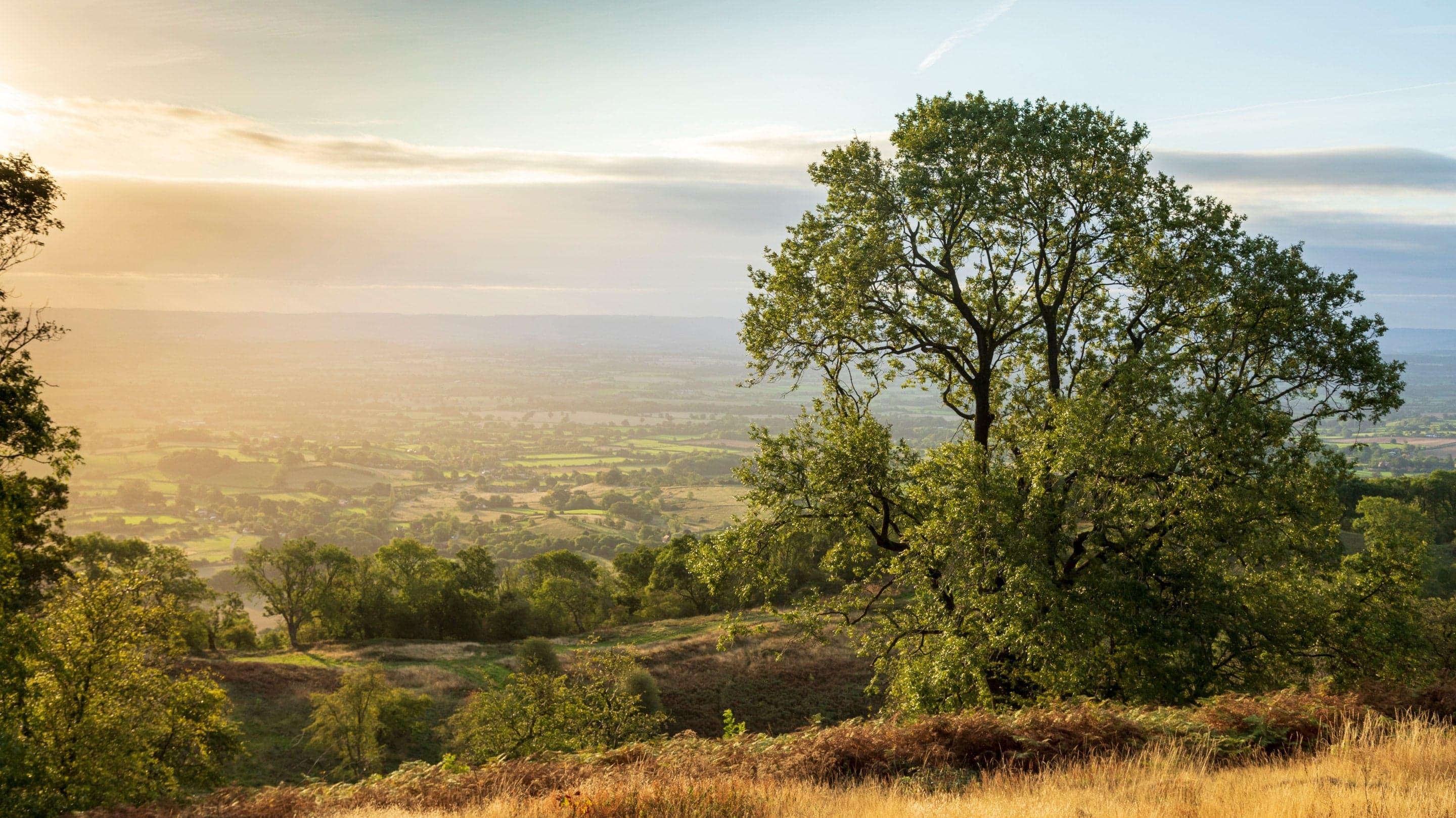 Herefordshire Countryside
