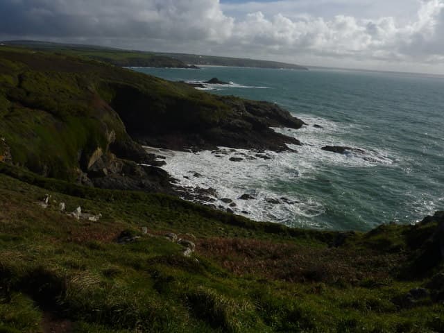 Piskies Cove